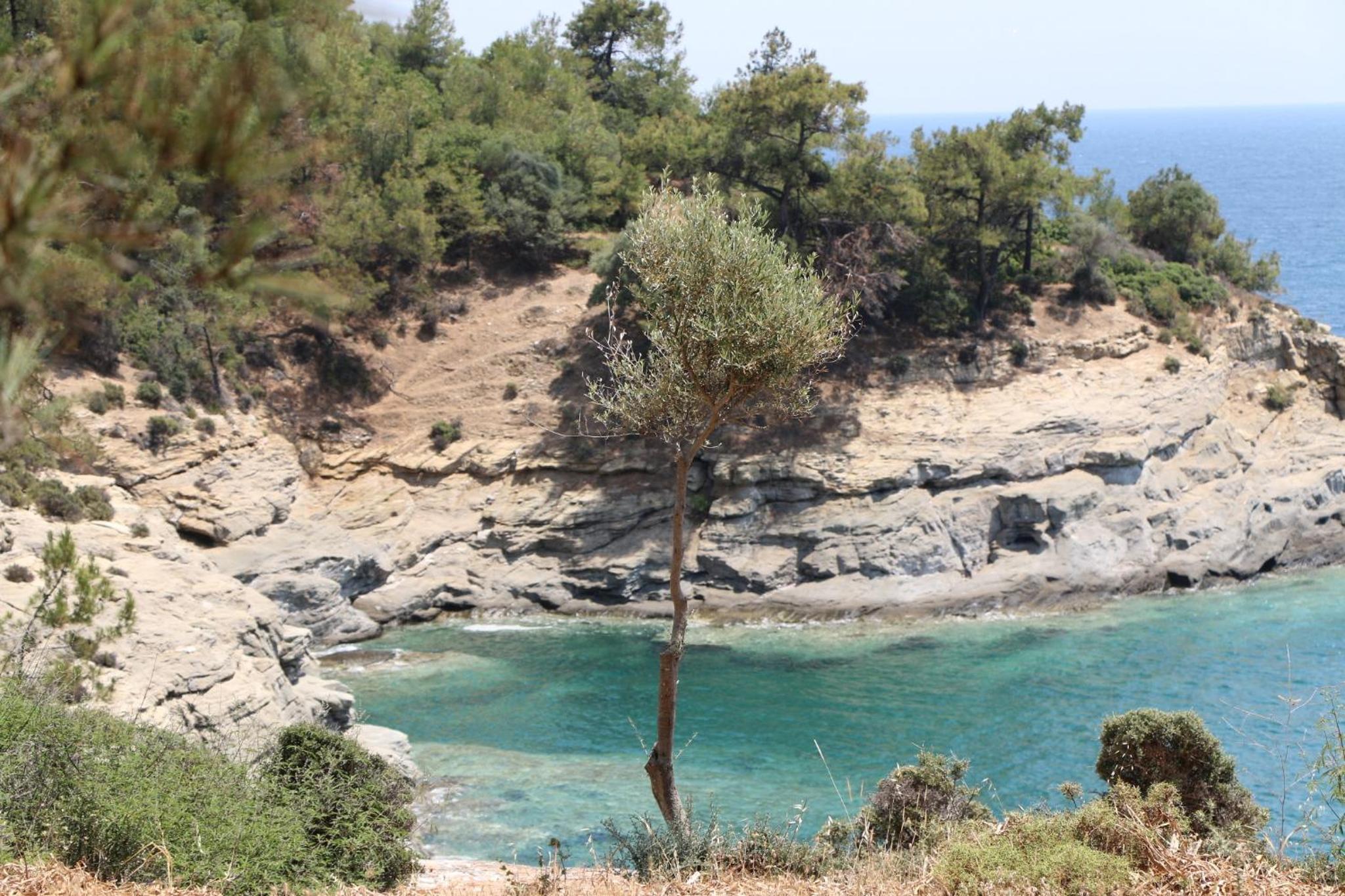 Fantasy Grand Villa Thassos view 5