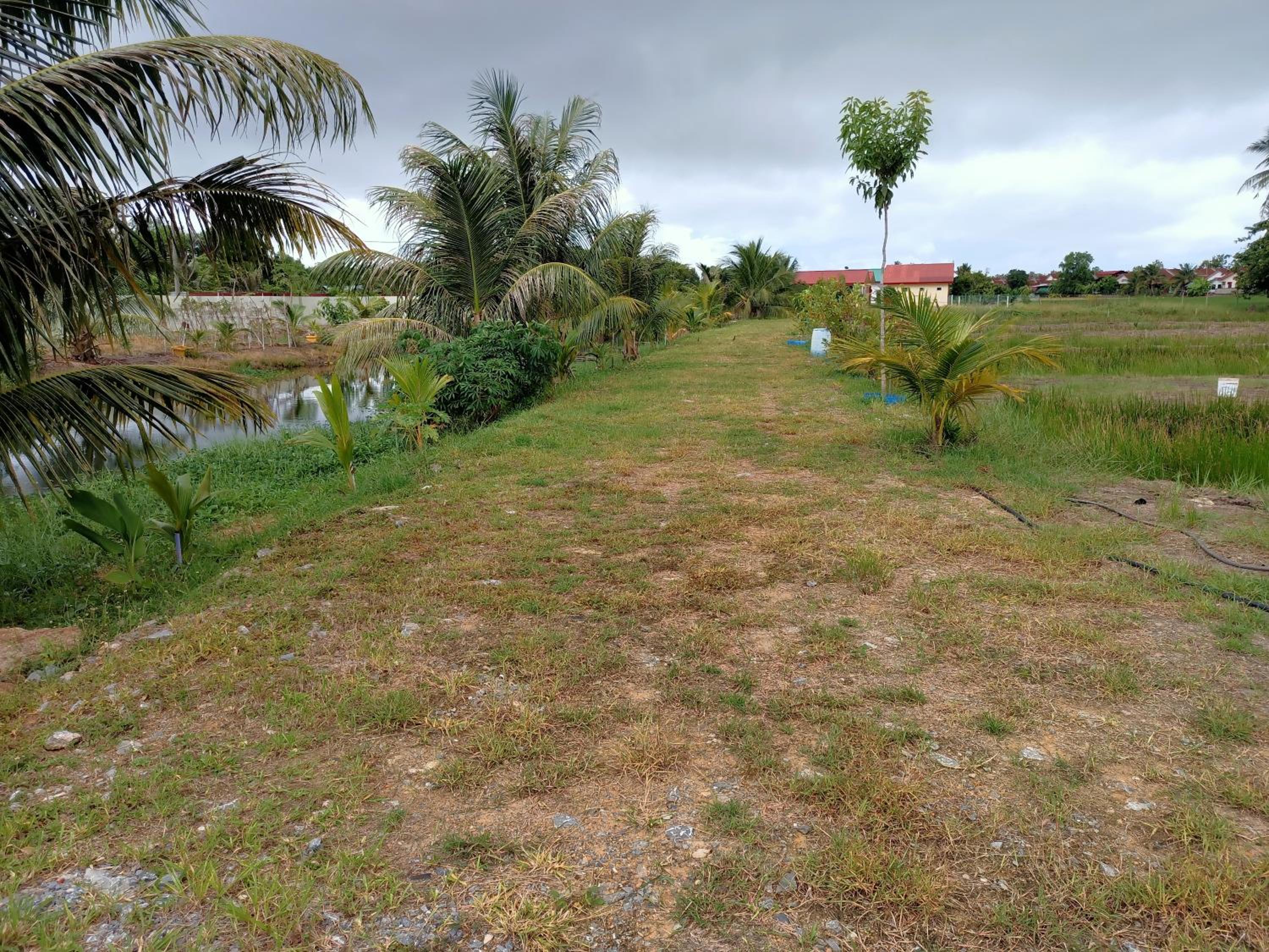 Photo 41