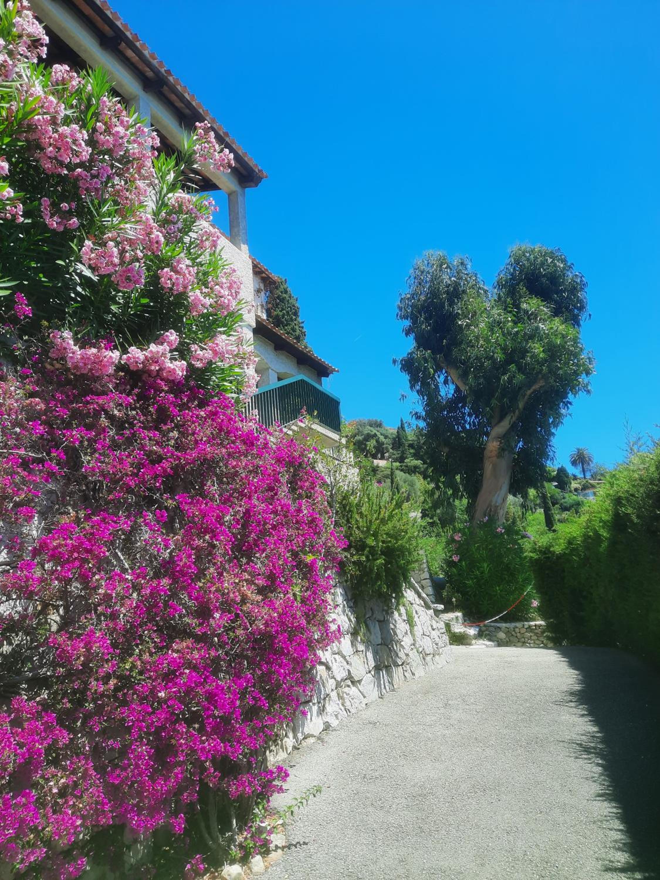 Soutariba — photo 18