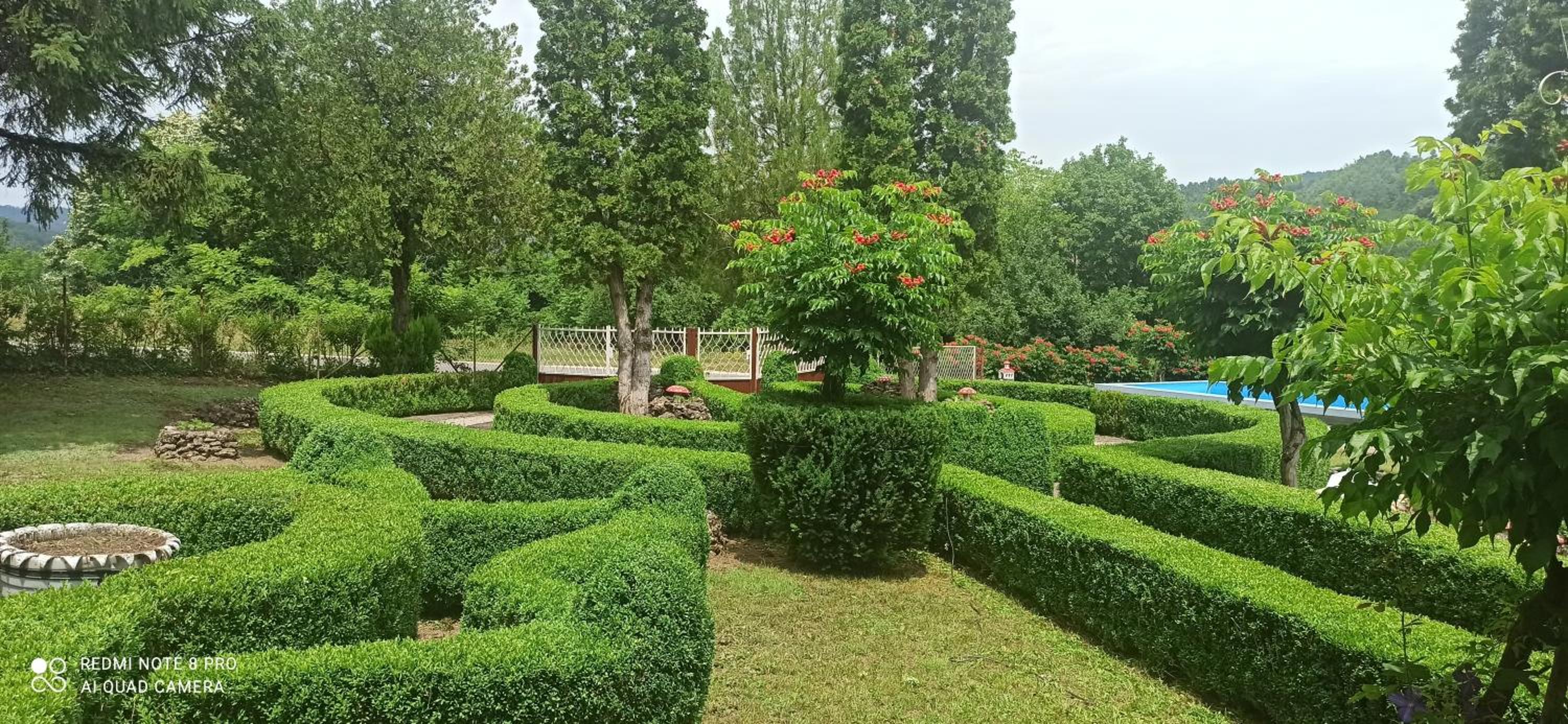 Photo 8