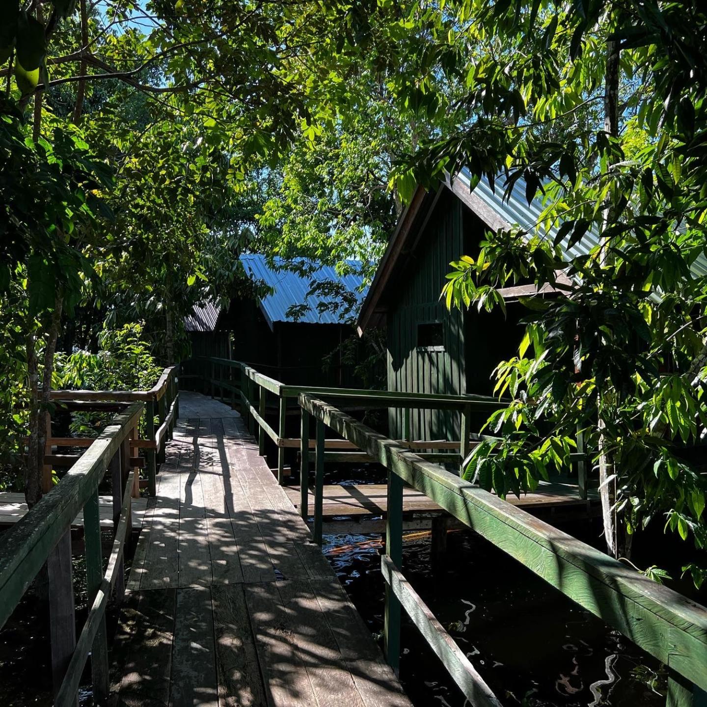 Amazônia Exxperience