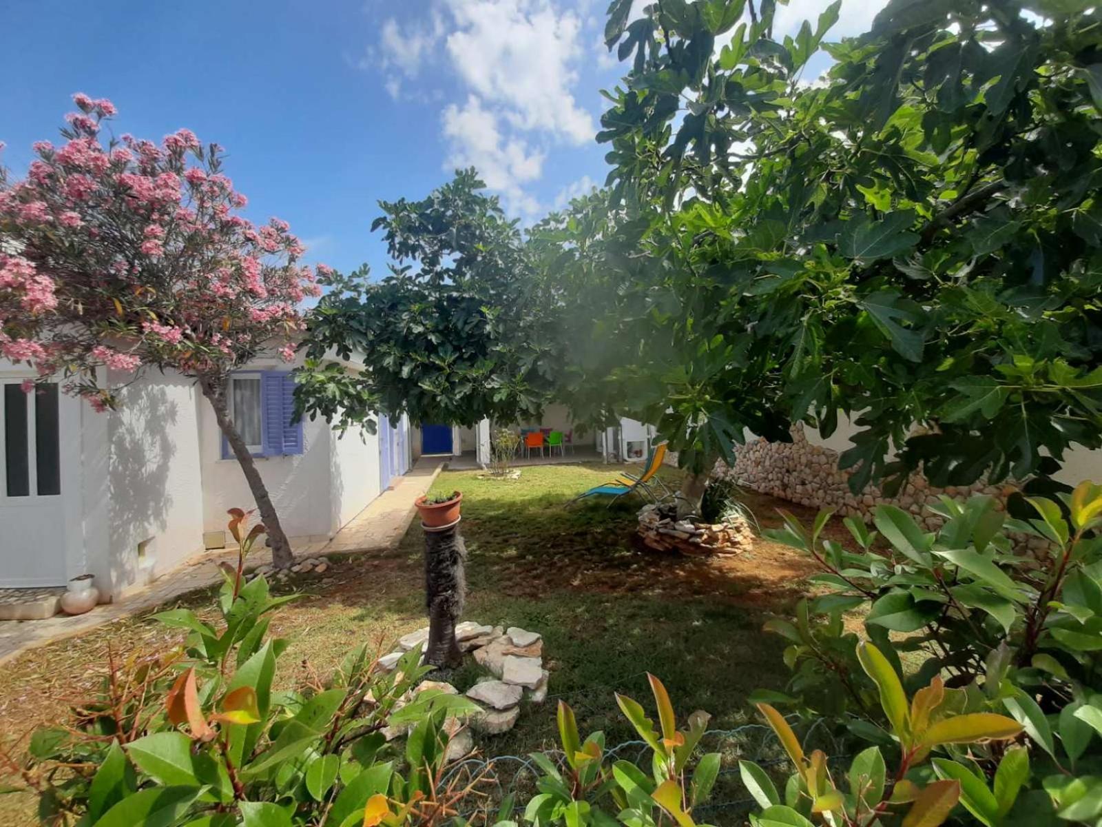 Vacation House Bimba - Pomer view 4