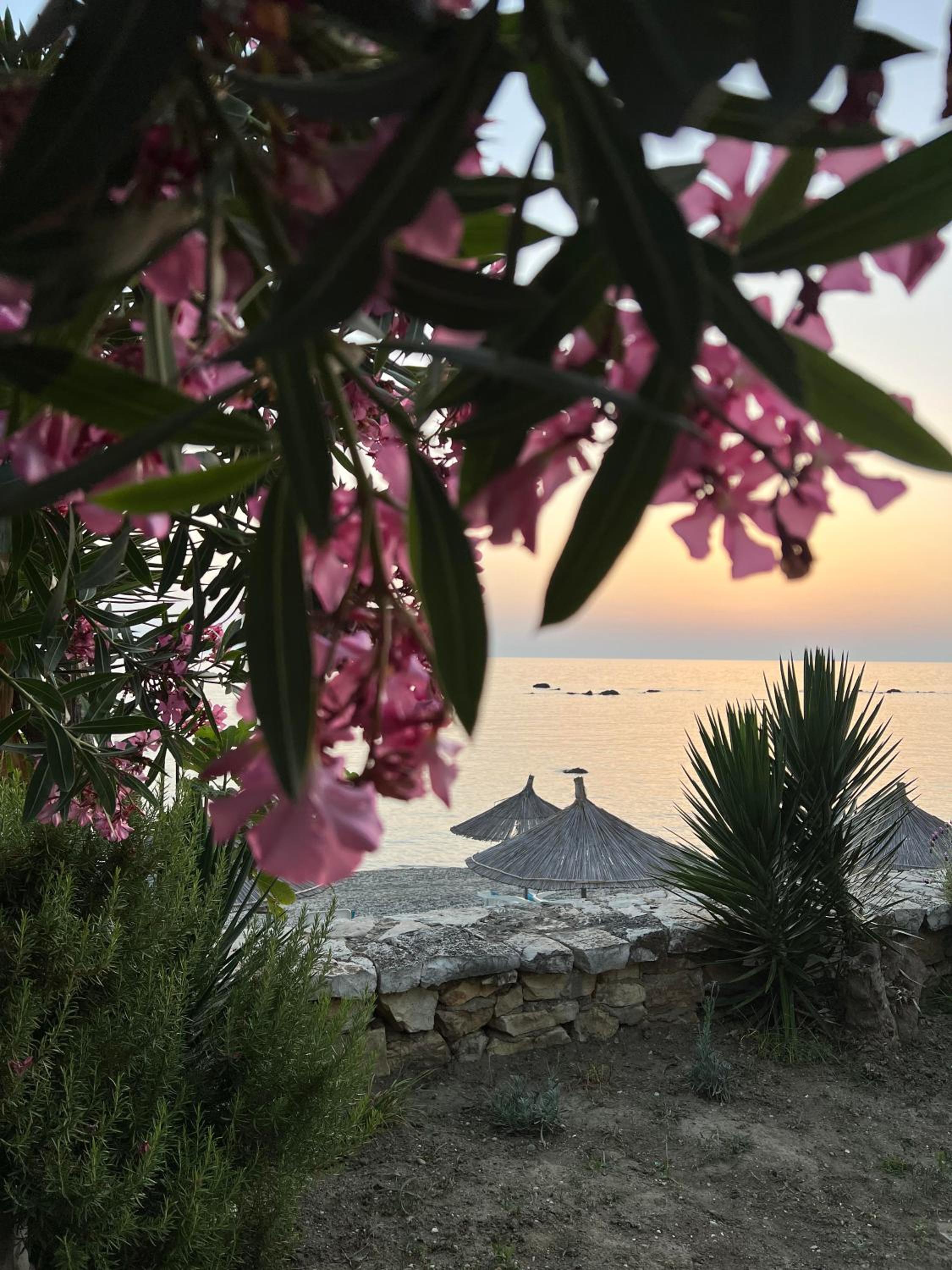 Kallmi View Eco Rooms