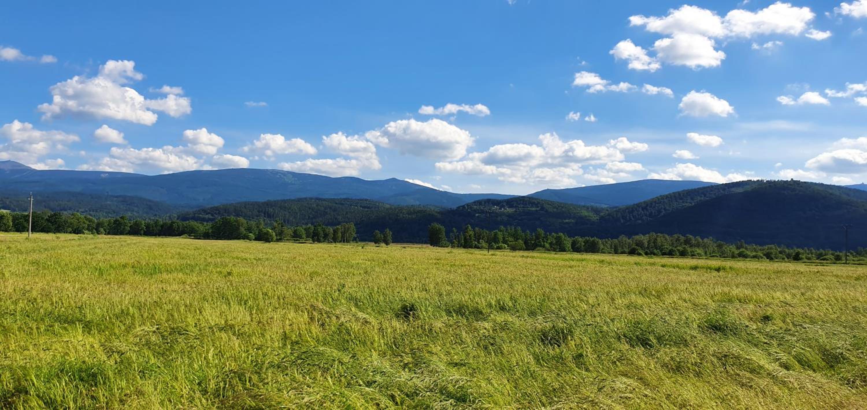 Apartament Wita Stwosza