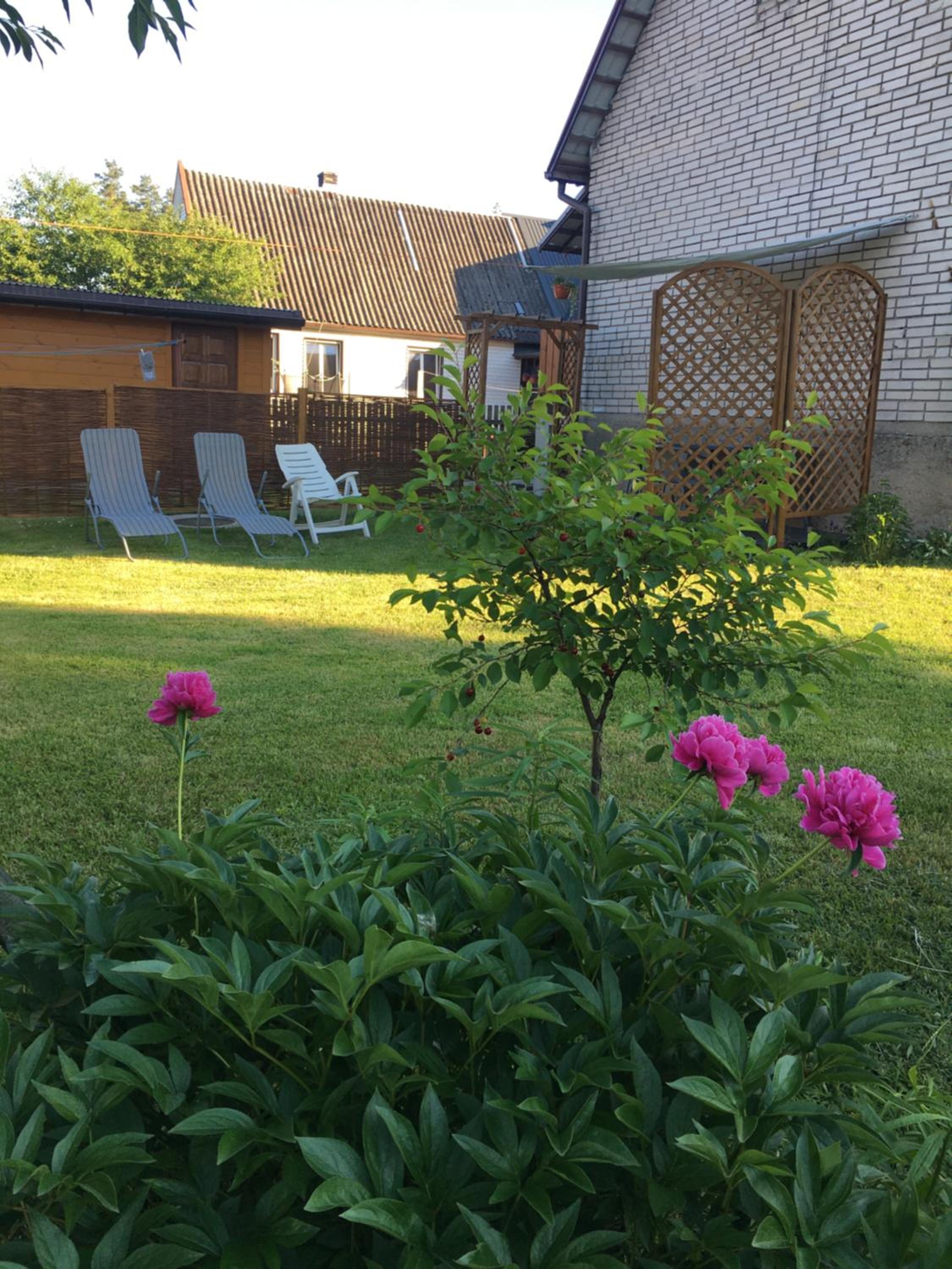 Apartament Pod Wiśnią view 5