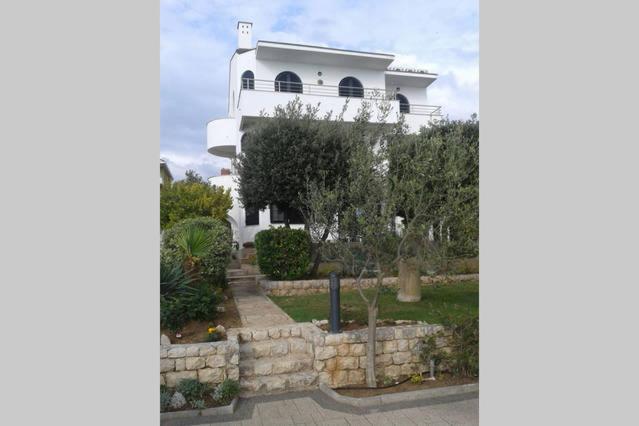 Photo 47