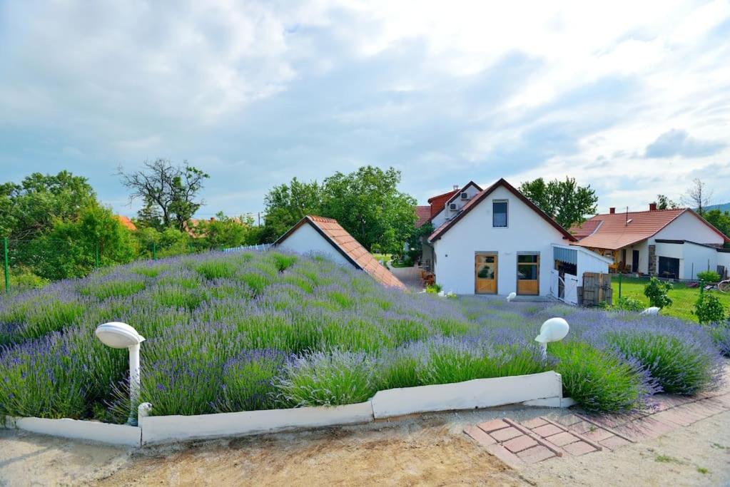 Levendula Vendégház Lovas view 4