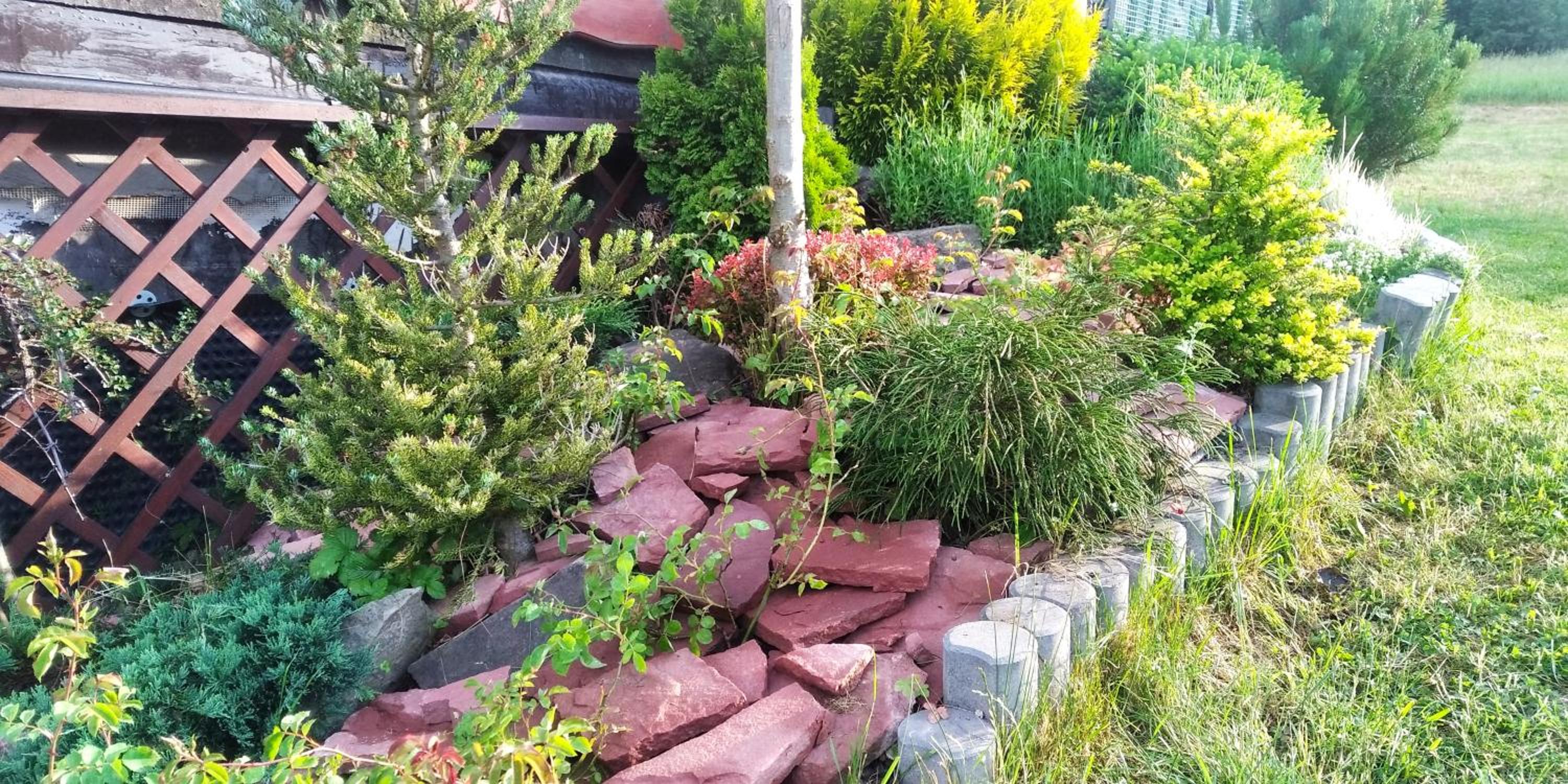 Photo 19