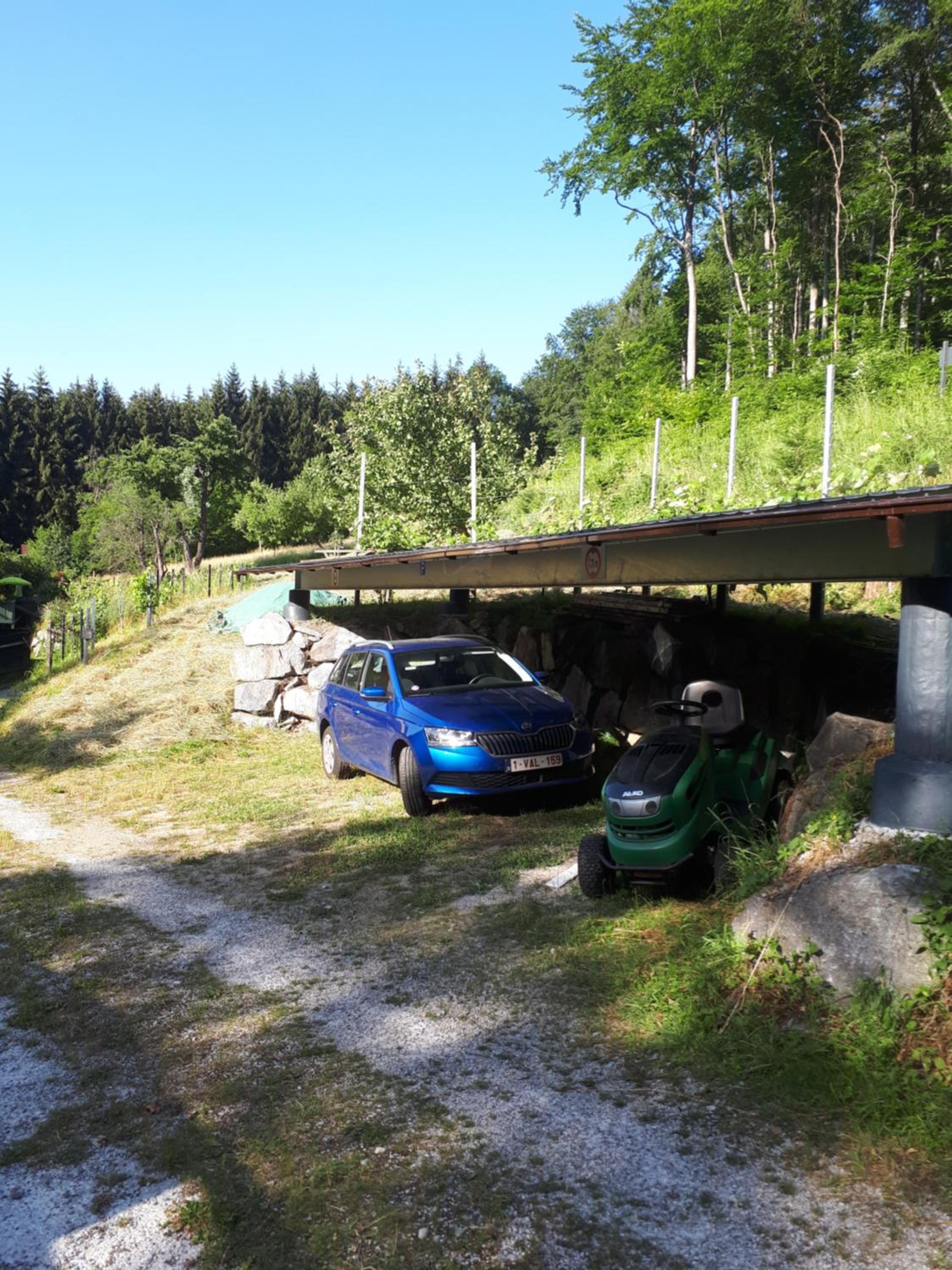 Photo 10