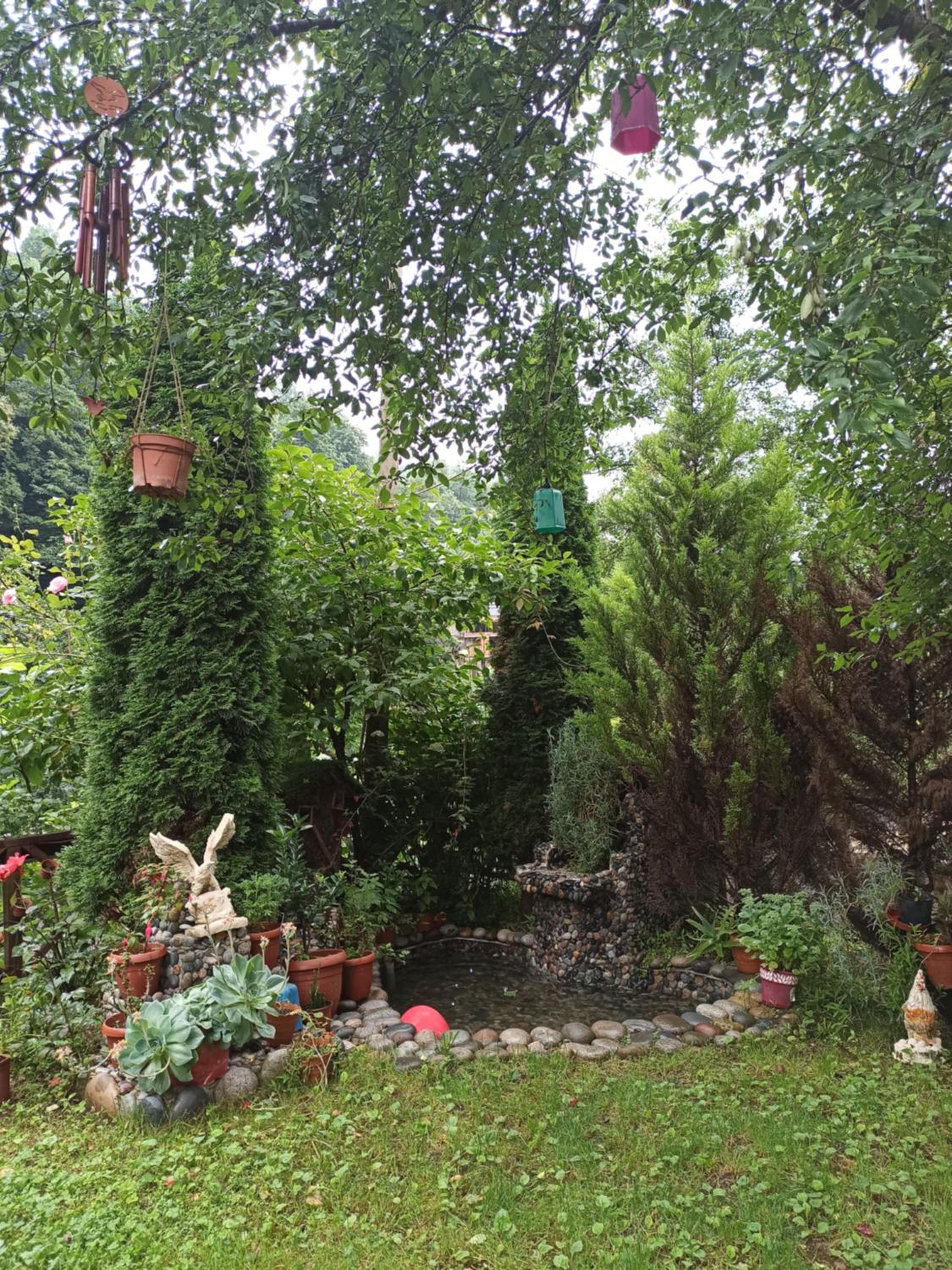 Photo 22