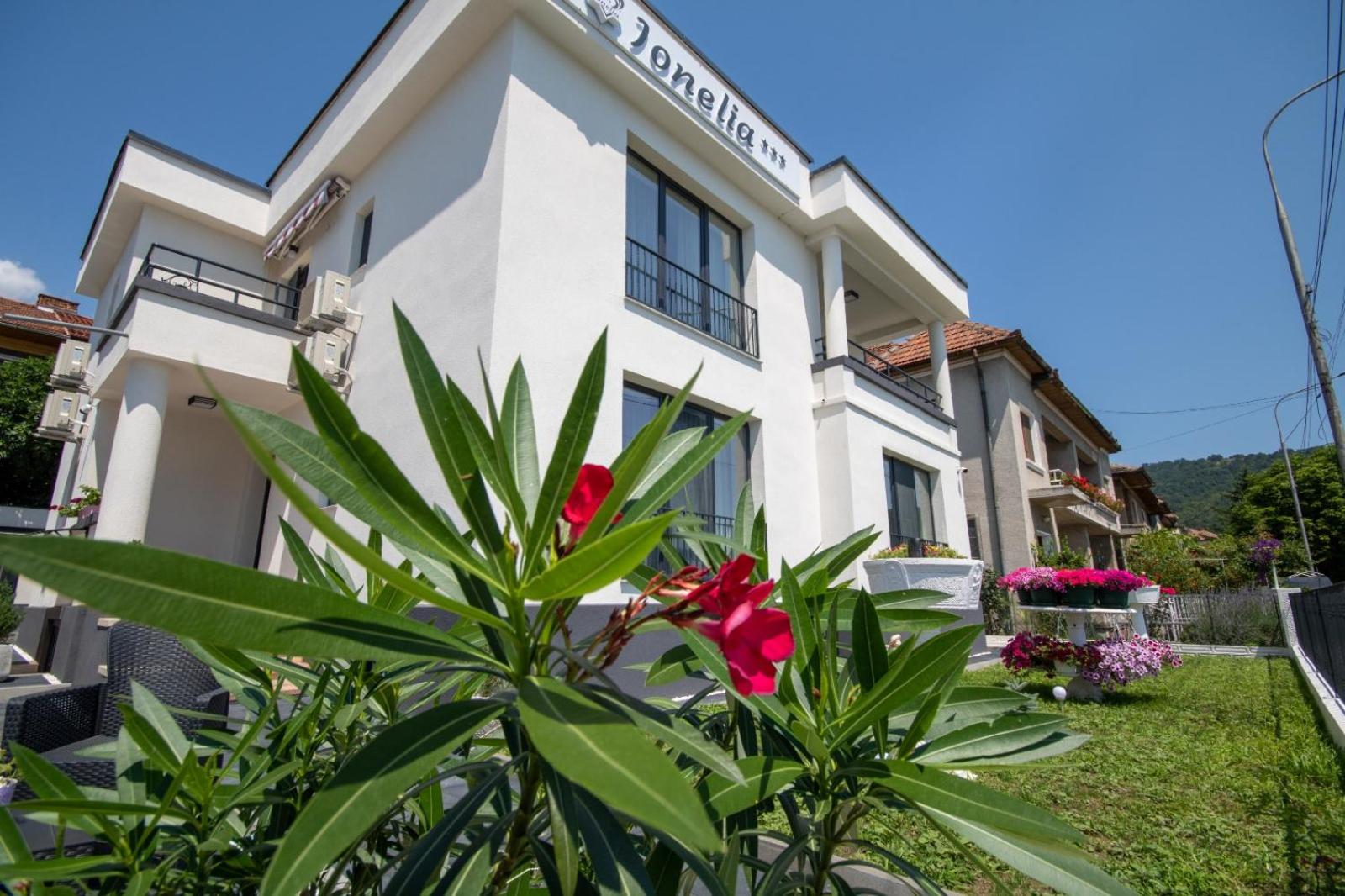 Hotel Pensiunea Ionelia - Image 1