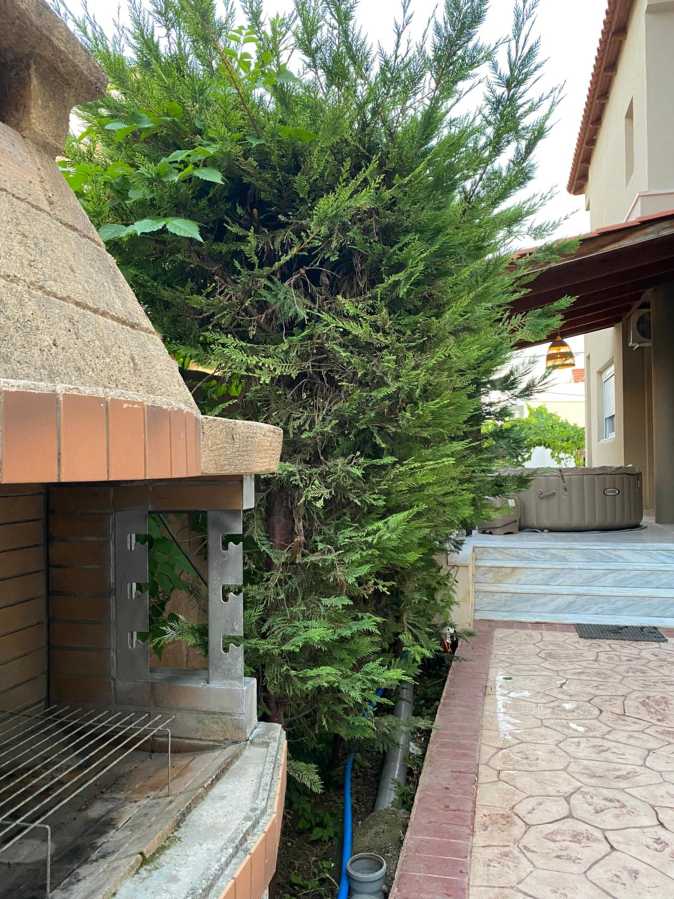 Eva's Garden House view 3