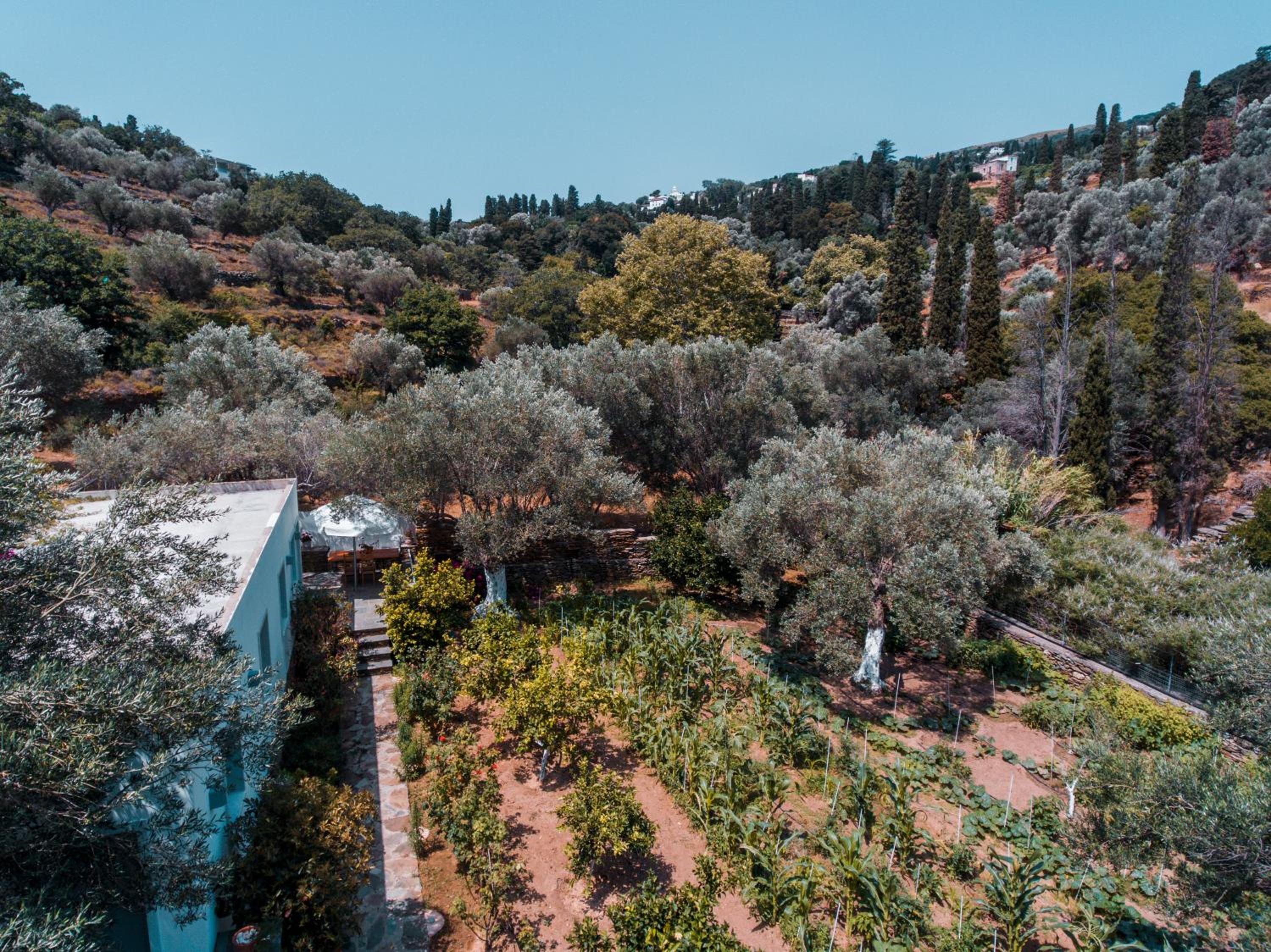 Small Paradise view 2