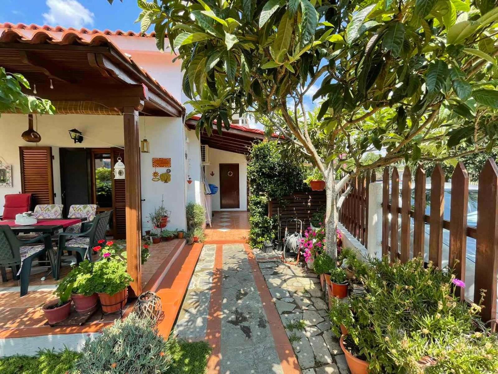 Dora's House