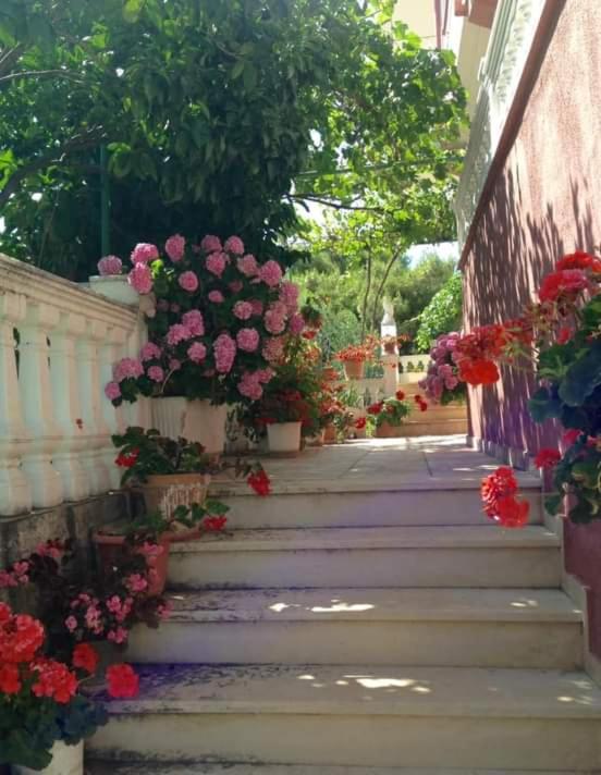 Vila Jakupi photo 2