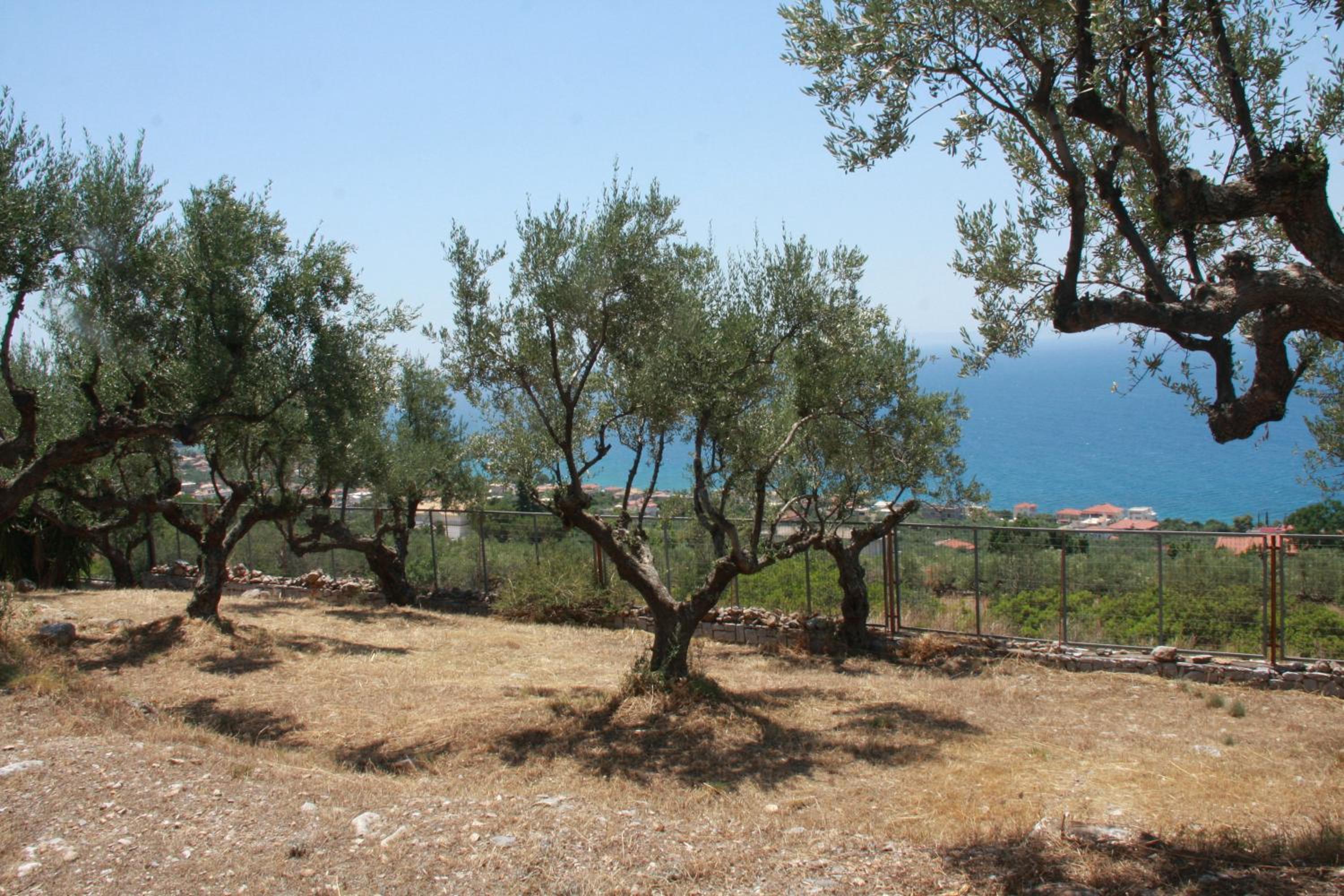 Photo 49