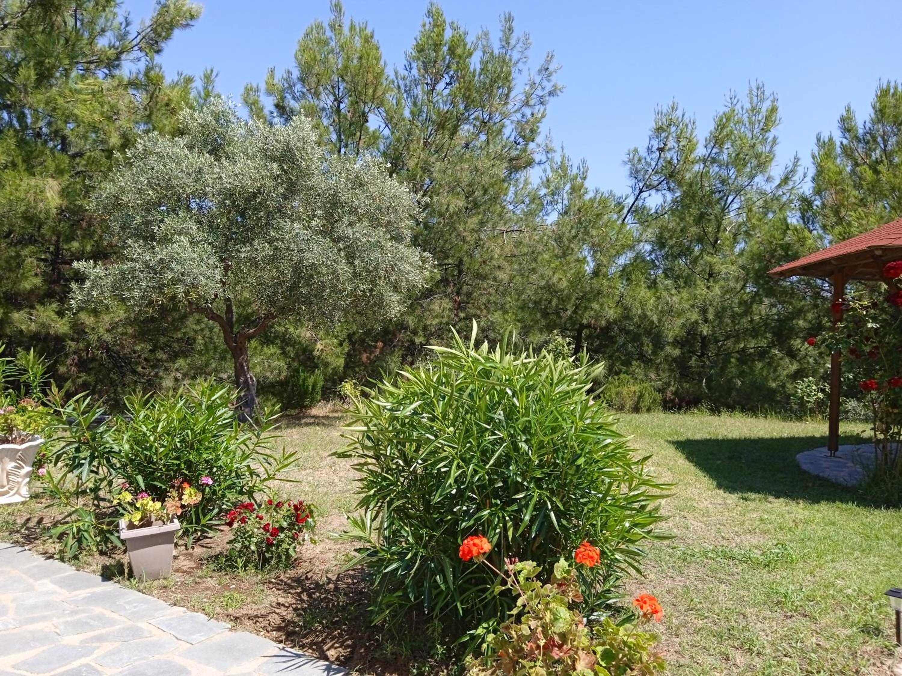 Photo 37