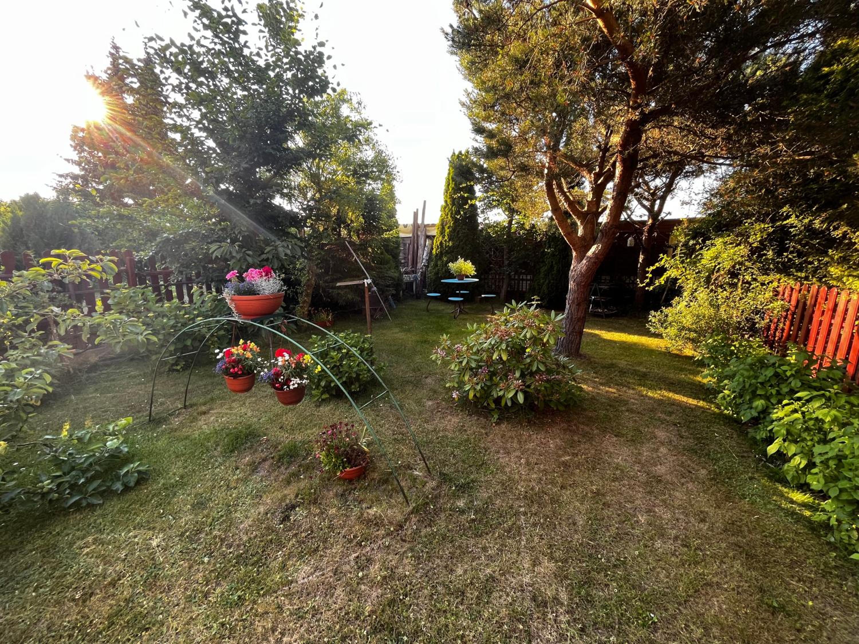 Photo 32