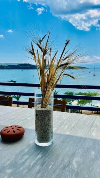 Chrysa's Dream - Dreamy Sea View at Spacious 3BR Apt in Porto Cheli view 3