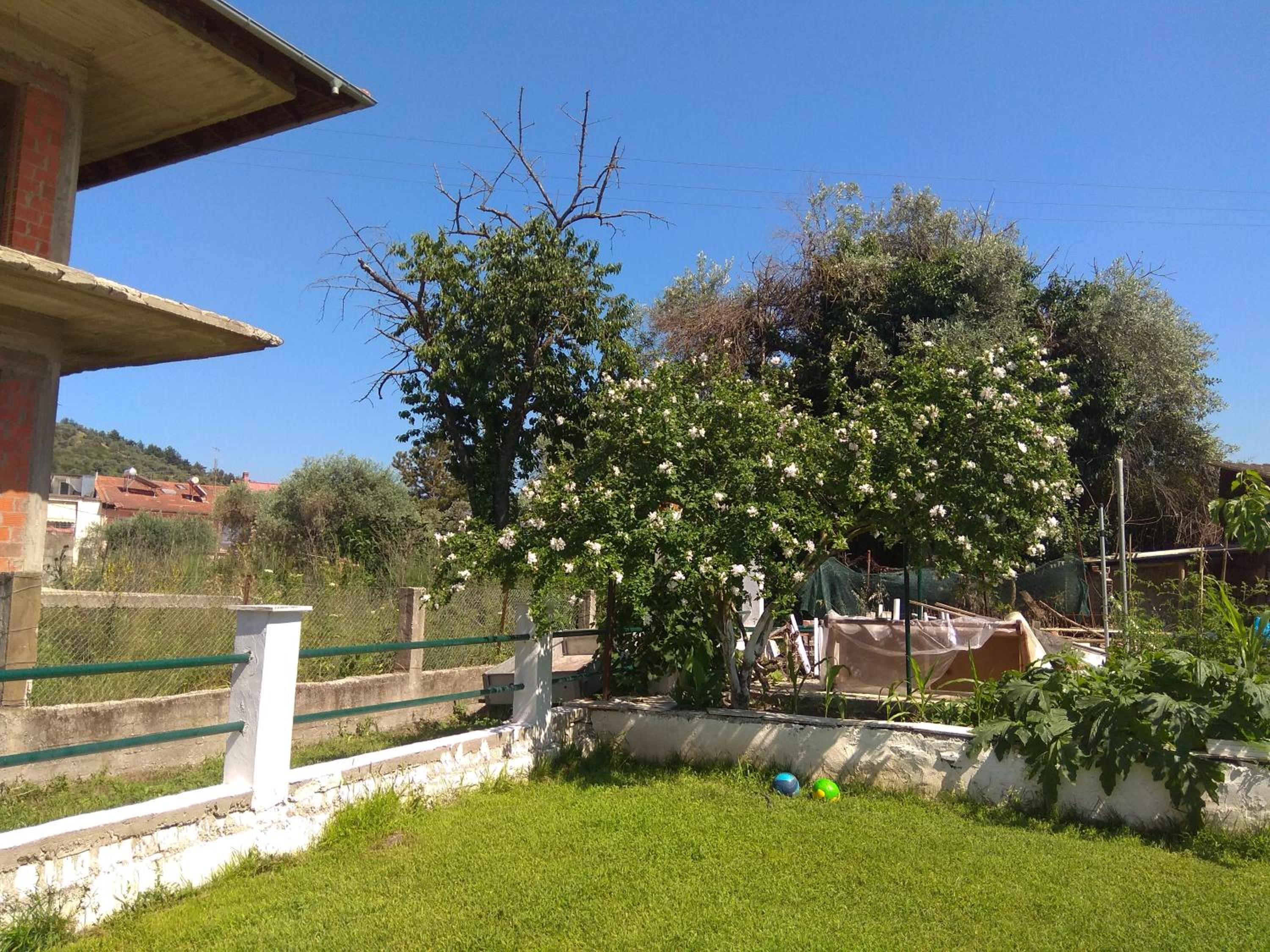 Photo 22