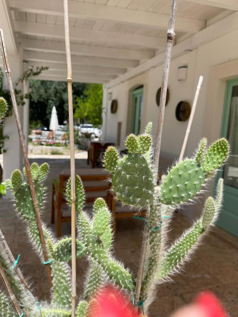 Il Giardino degli Antichi Sapori view 5