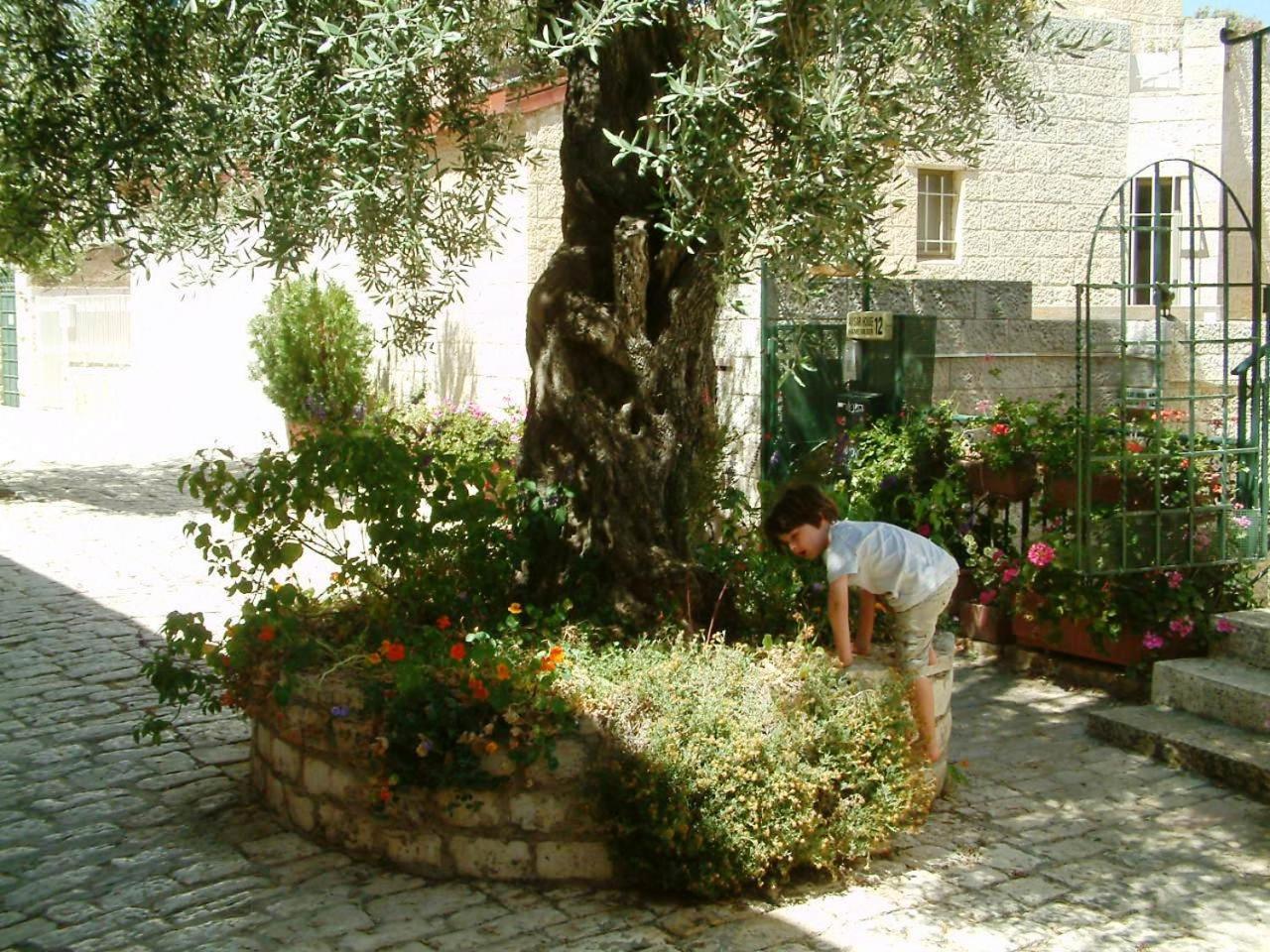 Photo 19