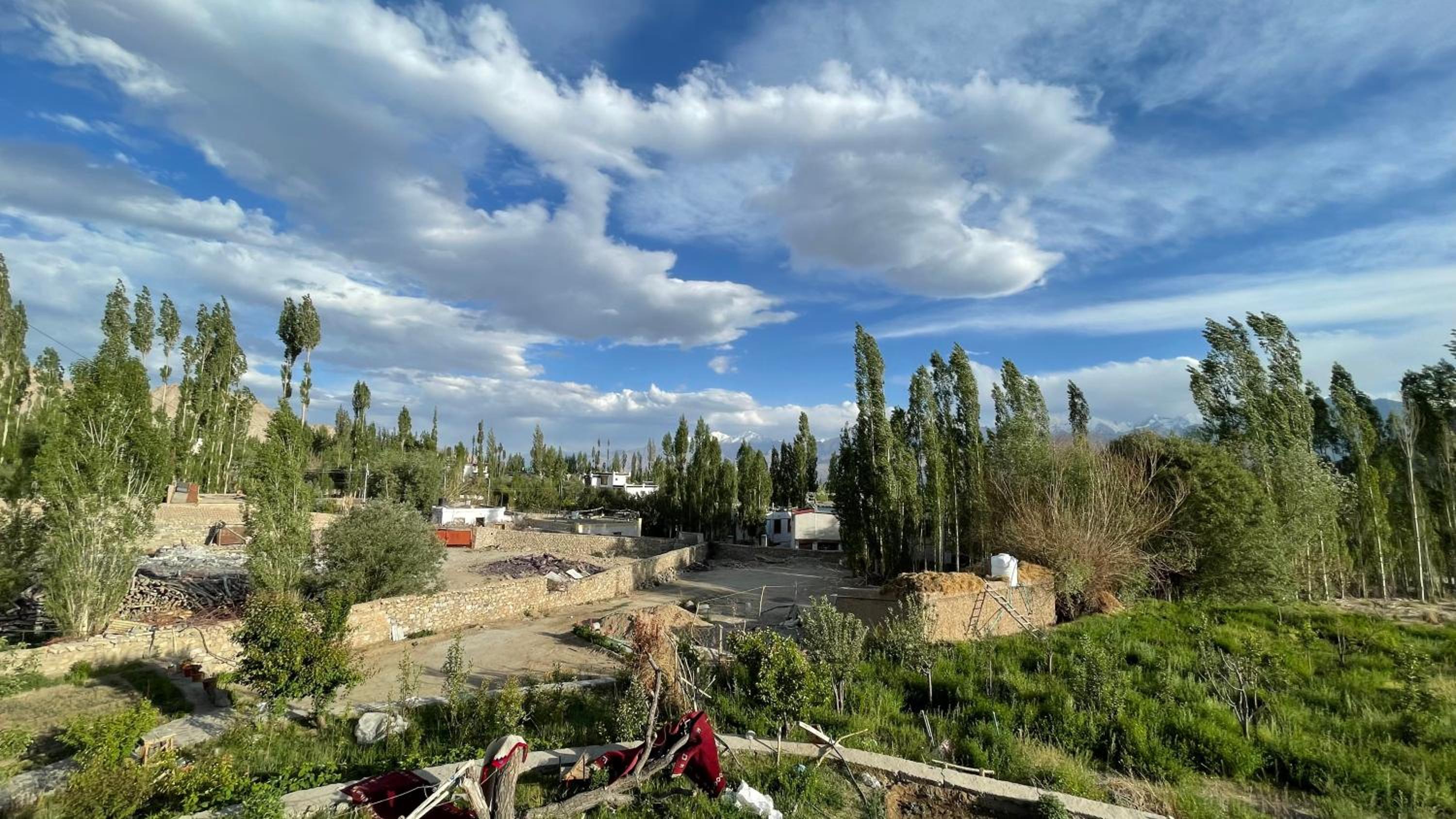 Photo 31