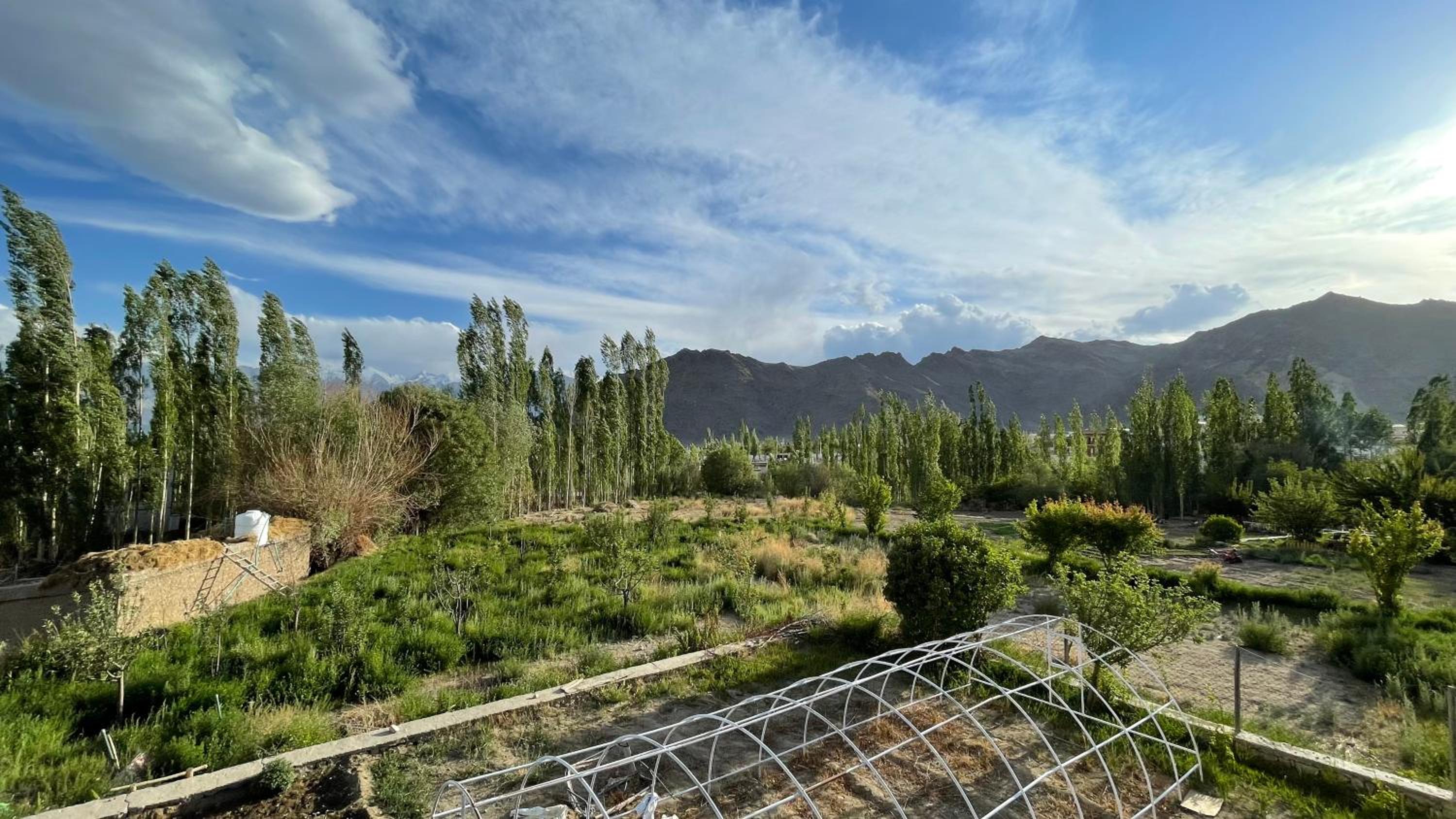 Photo 30