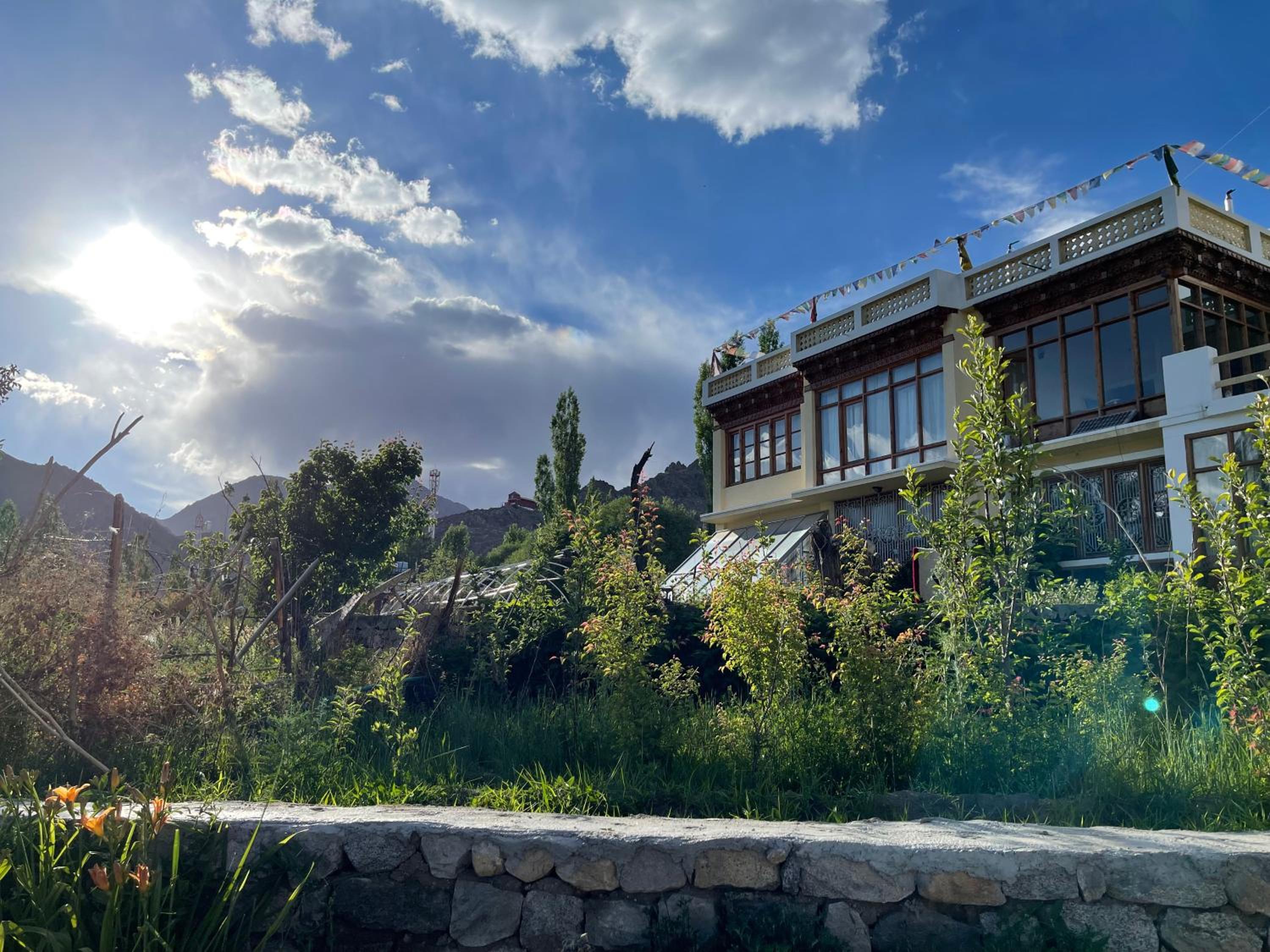 THE WILLOW HOUSE view 2