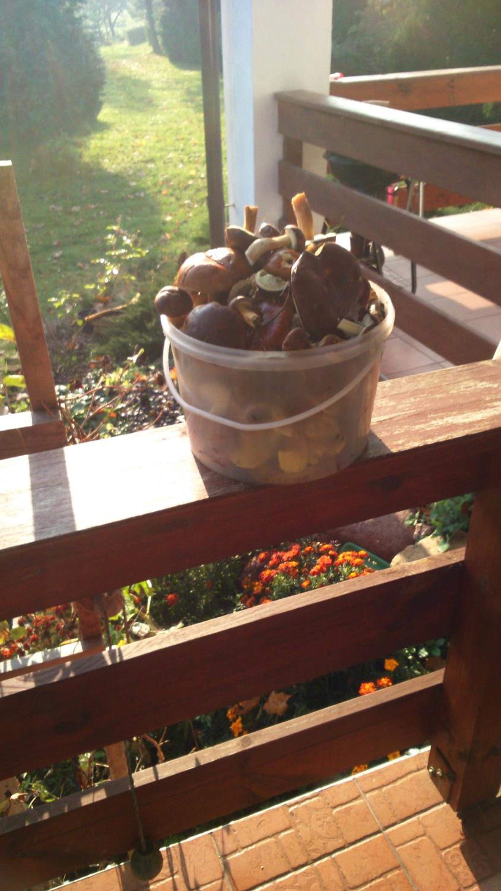 Photo 17