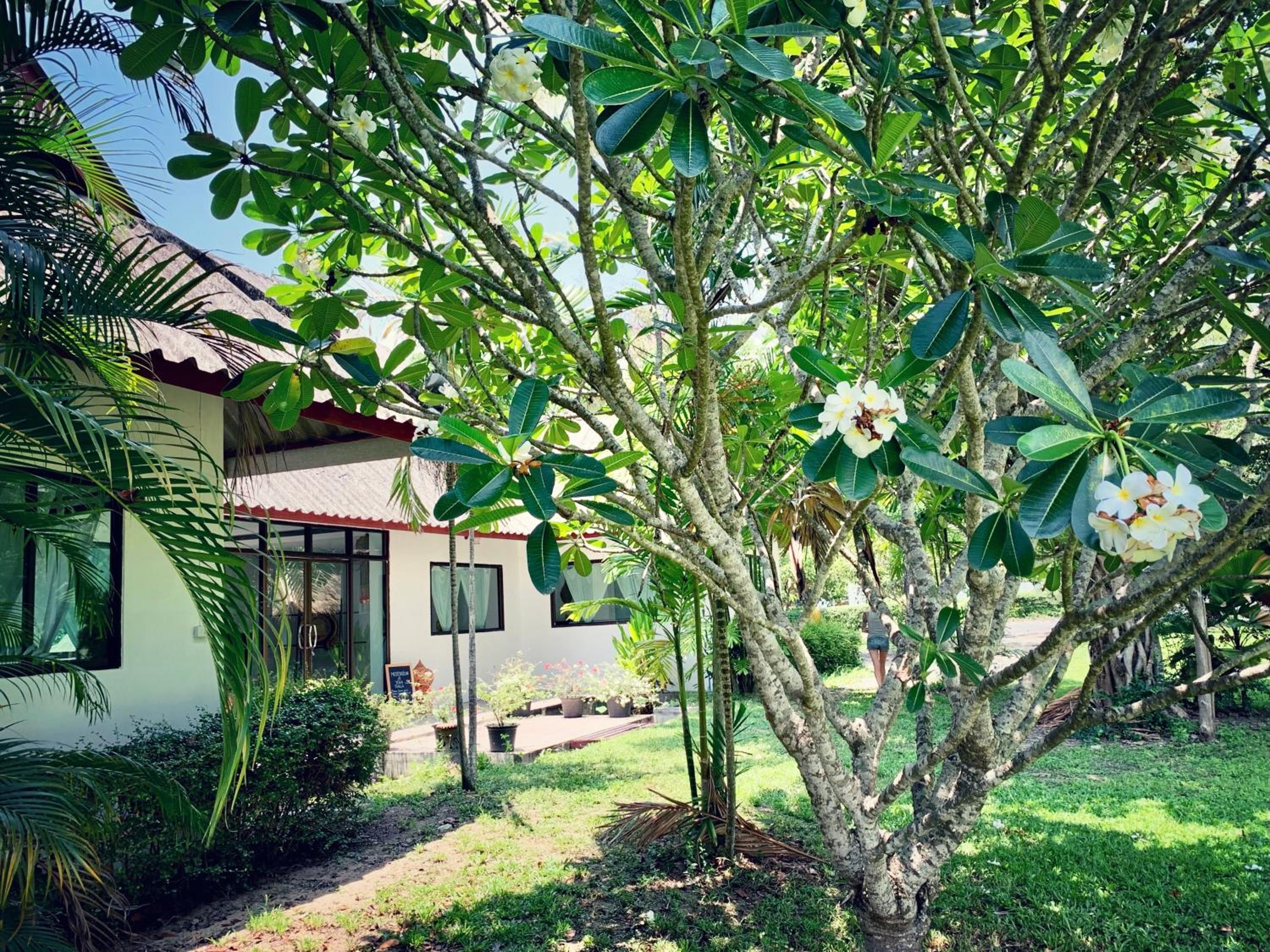 Hotel La Maison - Chiang Mai - Image 1