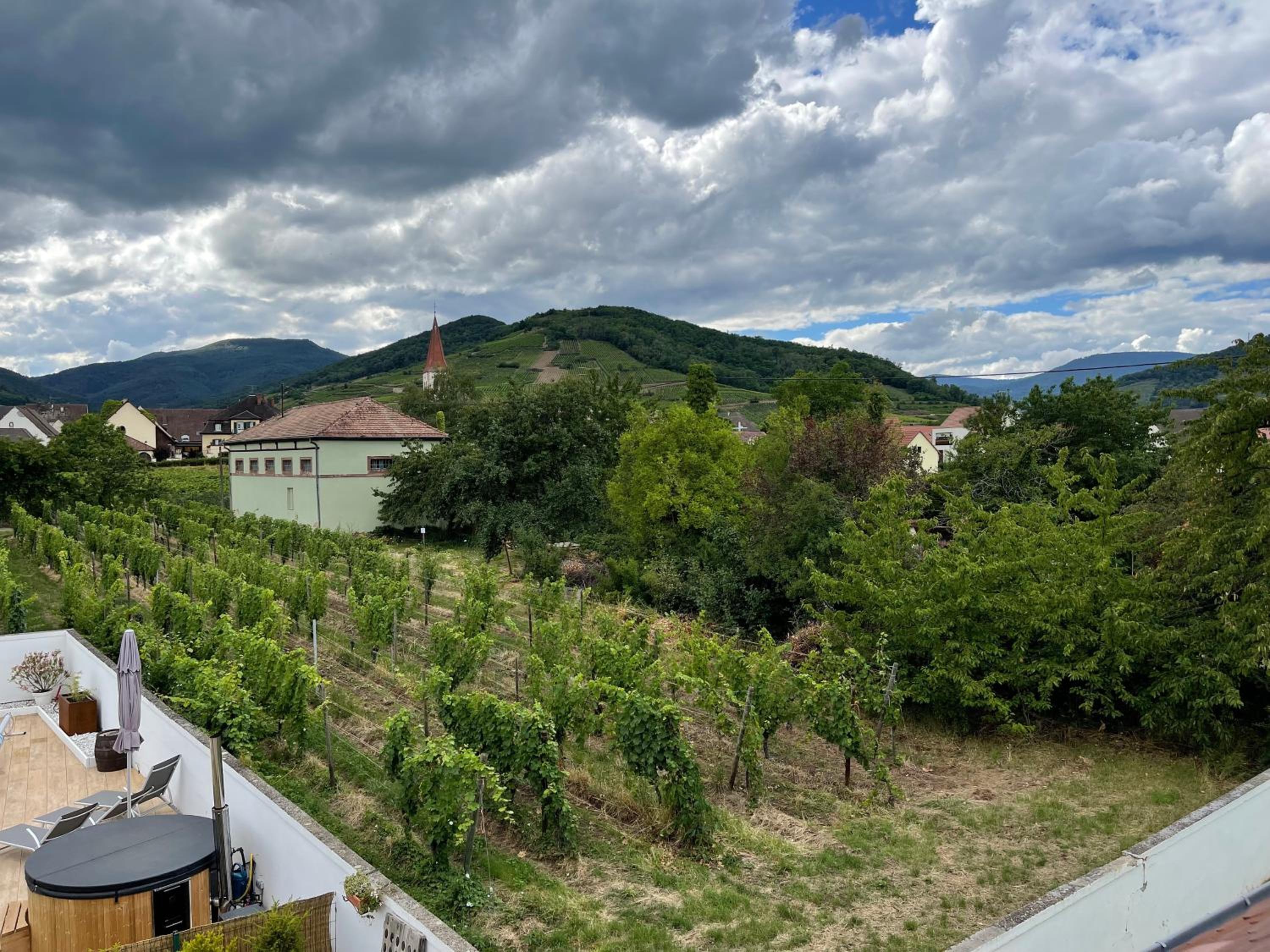 Photo 88