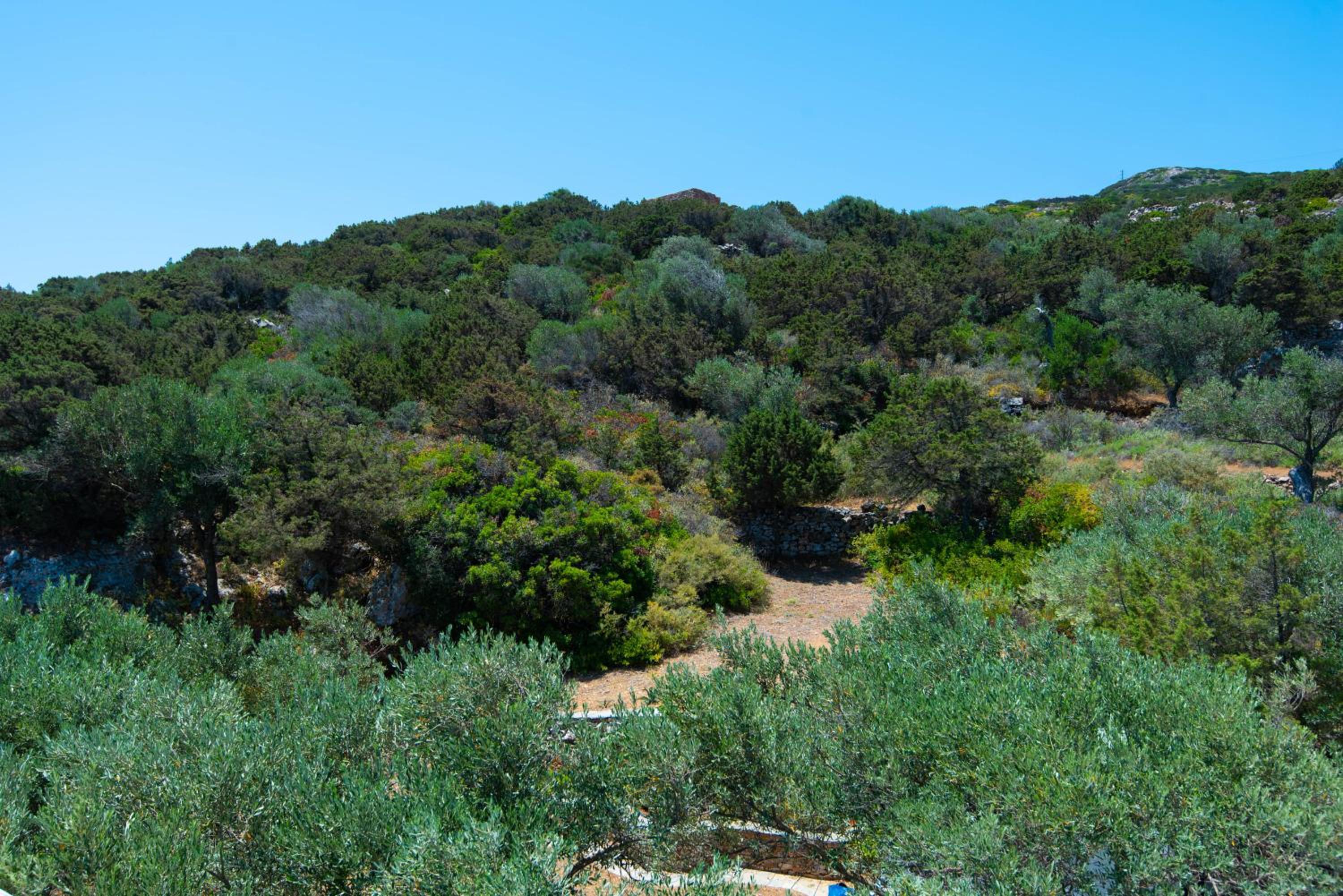 Sifnos' Green and Blue — photo 4