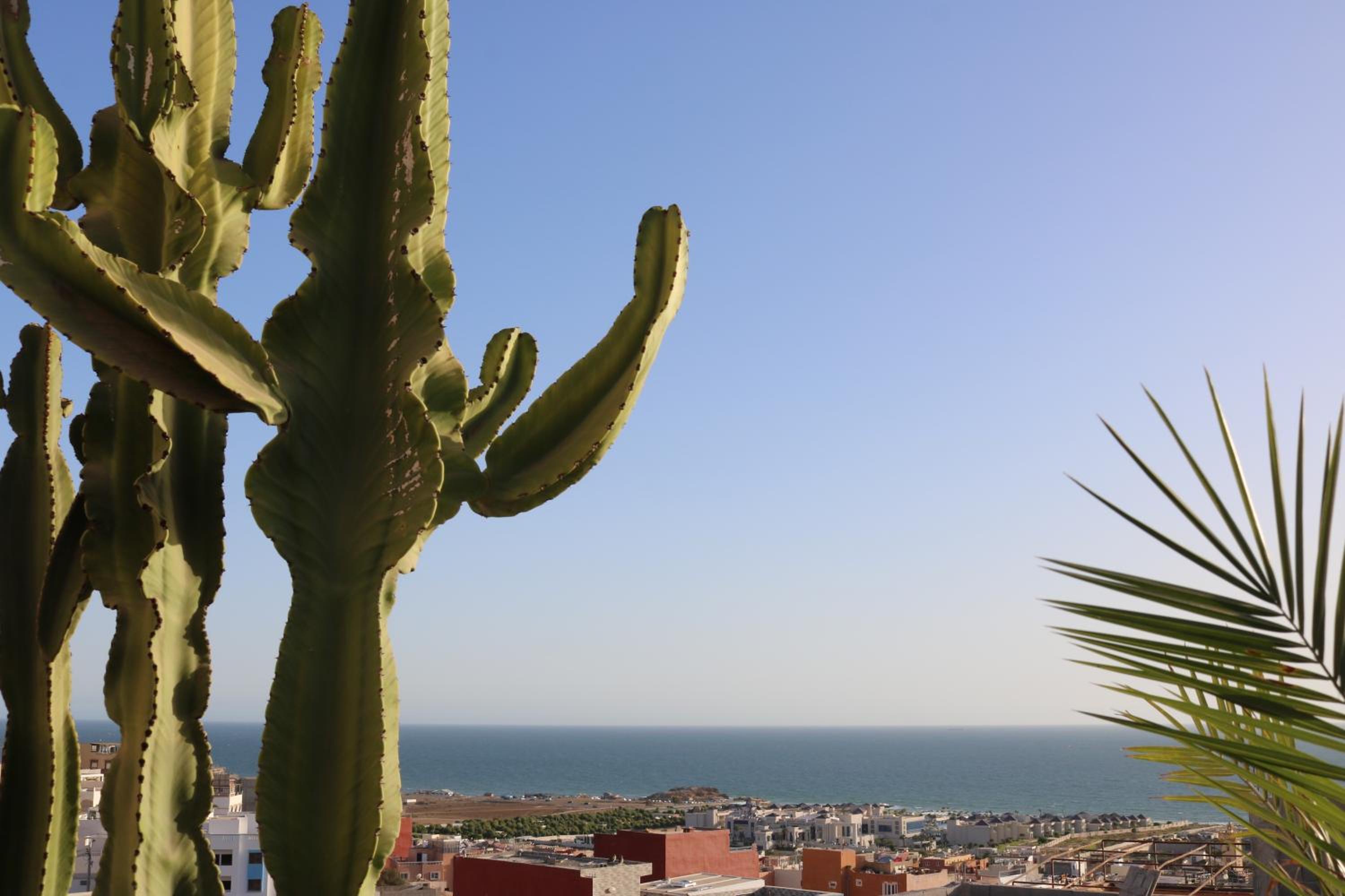 Azrac Surf Morocco — photo 20