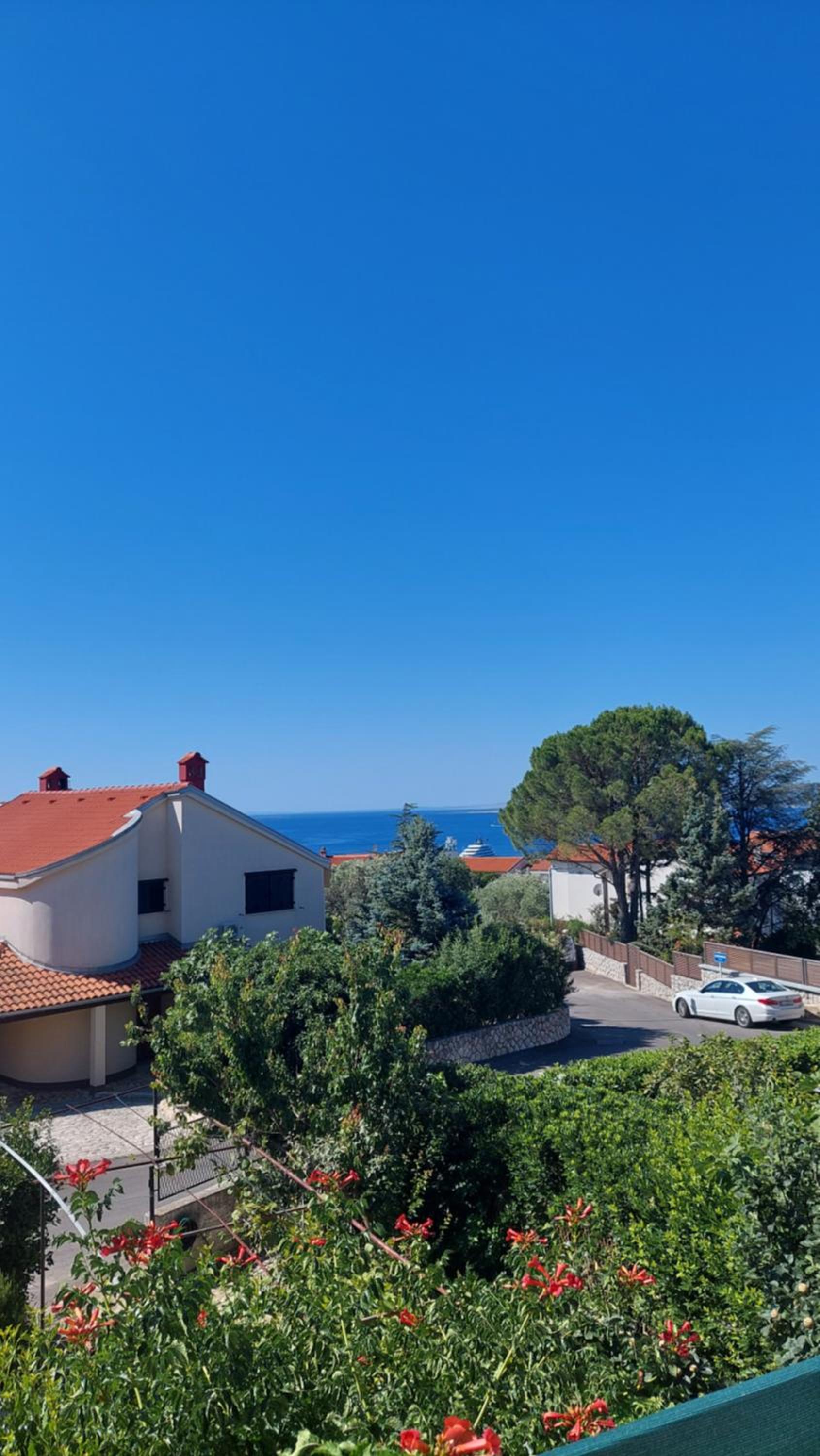 Apartments Dražica