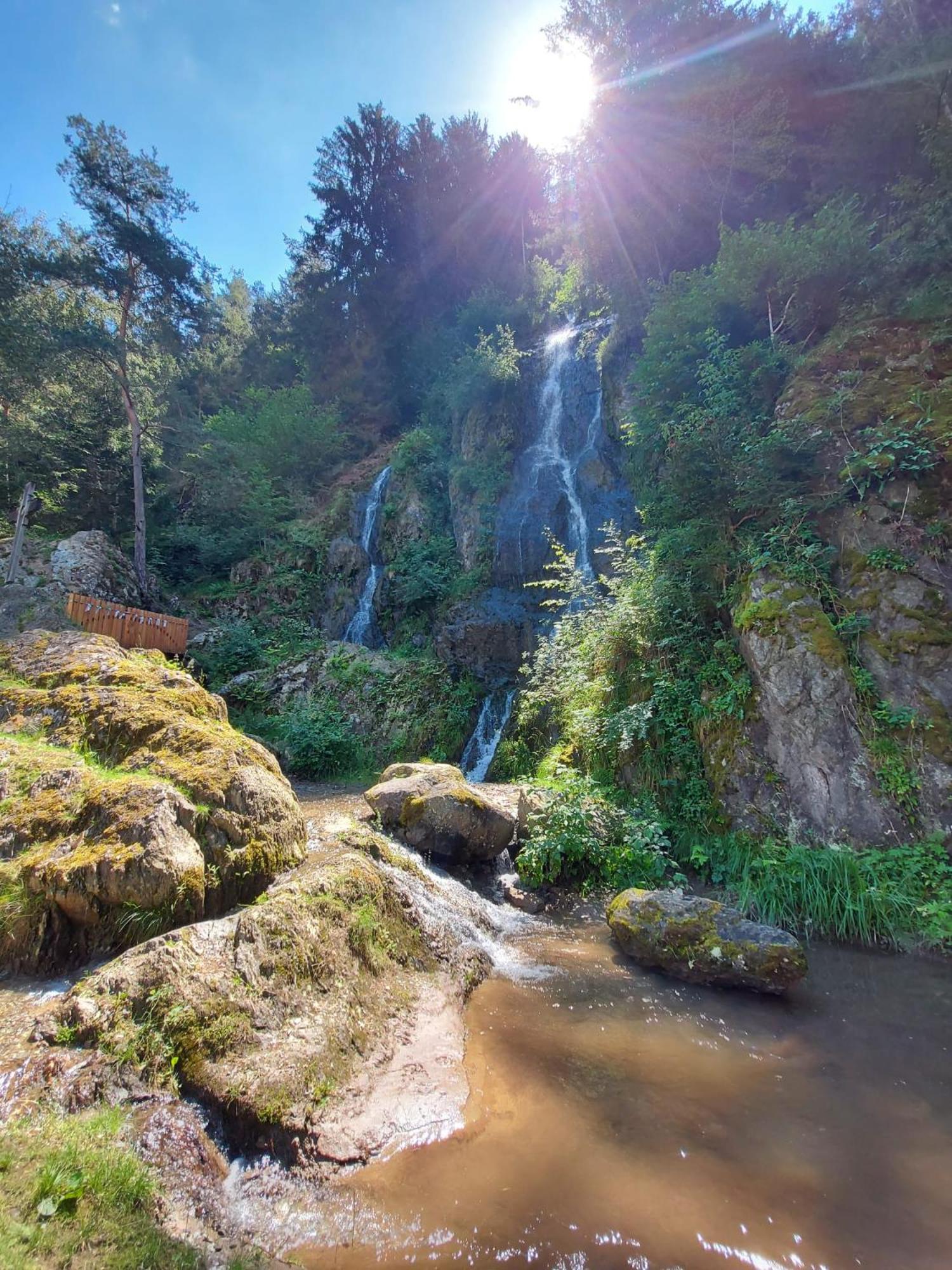 B&B Margit's Ranch Urlaub am Pferdehof