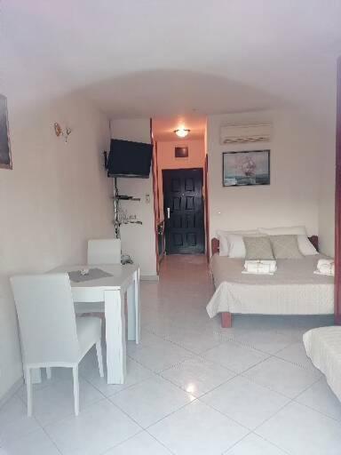 Apt Studio Nina Balerina view 5