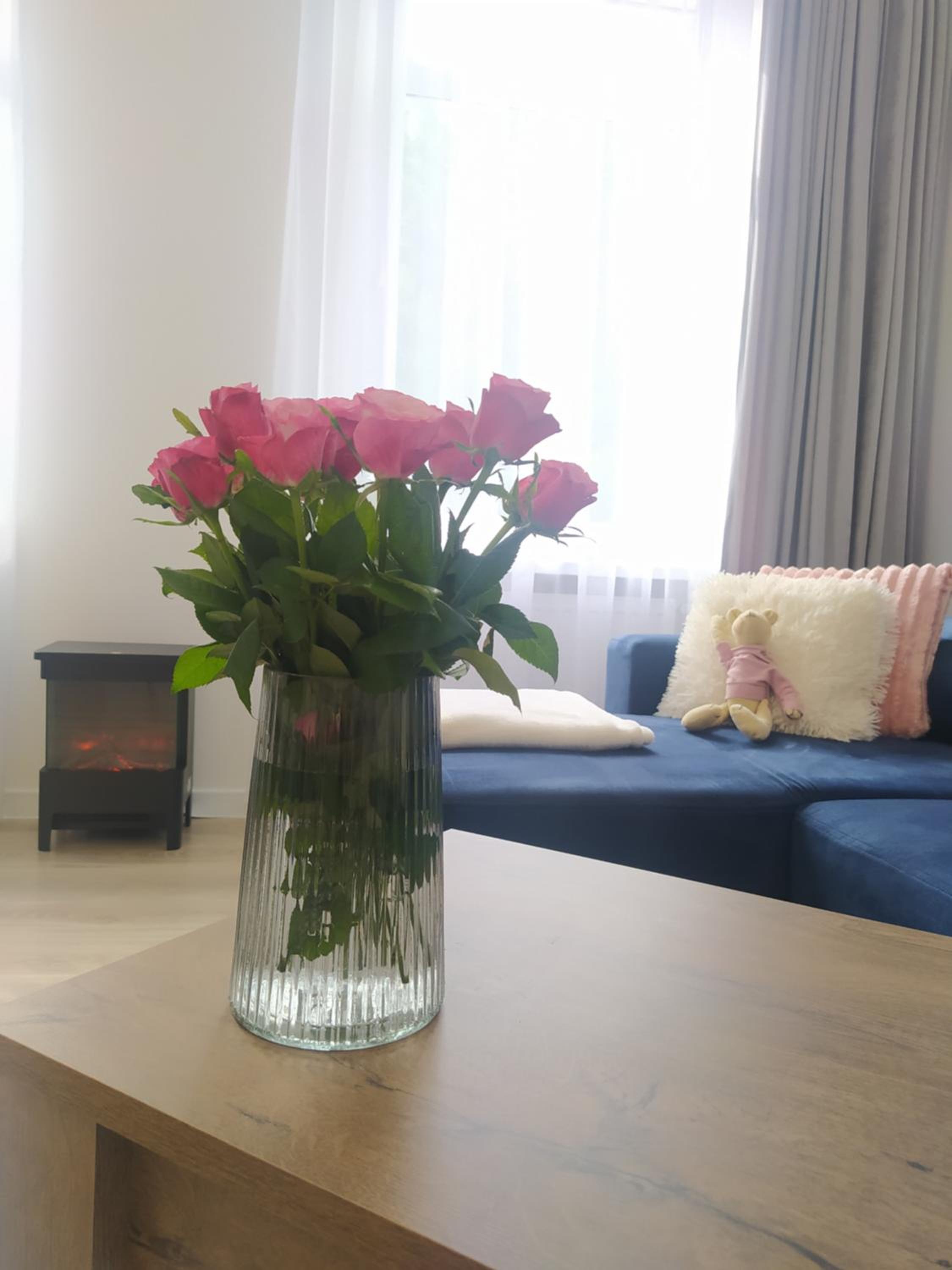Apartament FANABERIA Lądek Zdrój