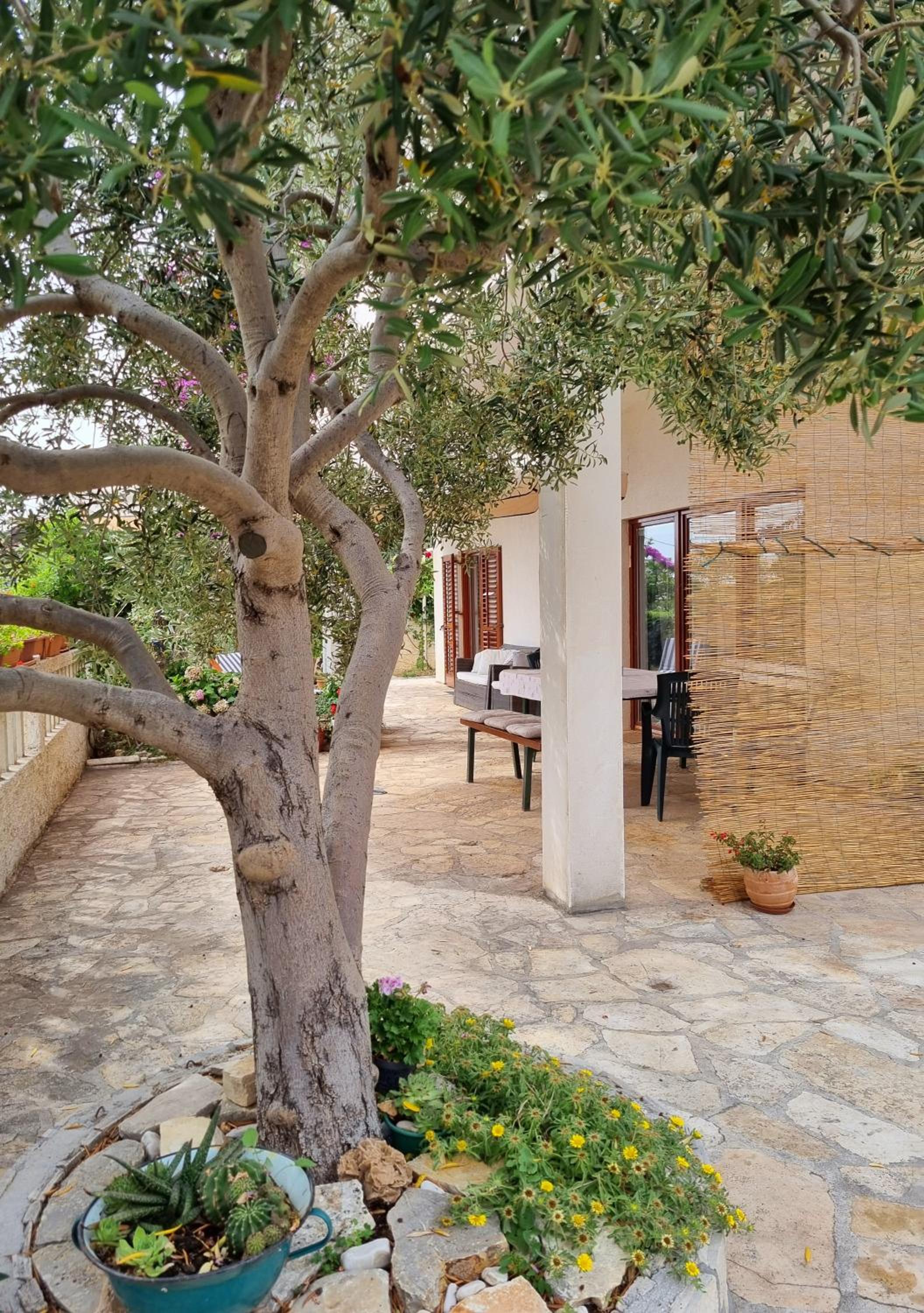 Vacation house Delić view 5