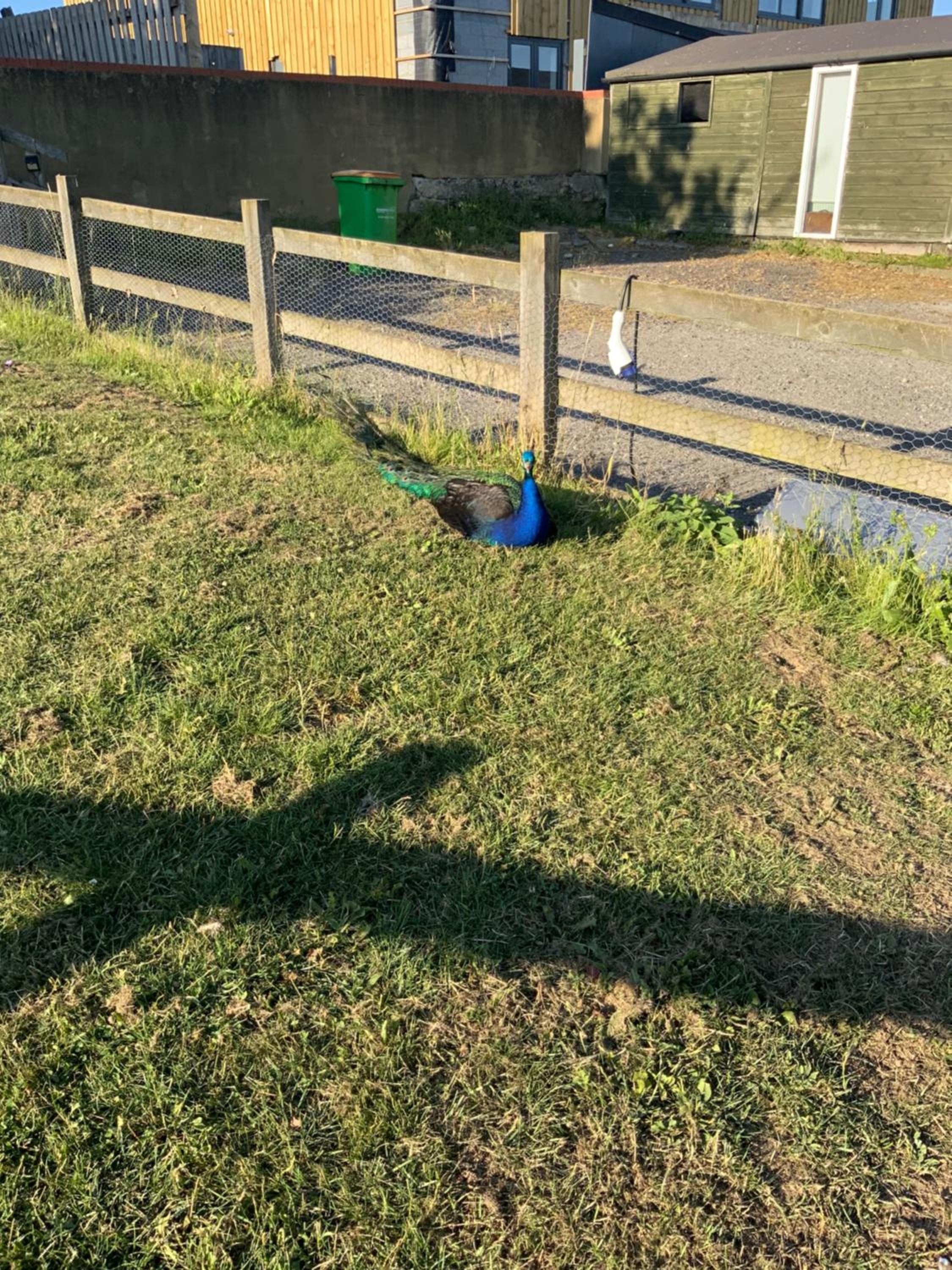 Photo 25