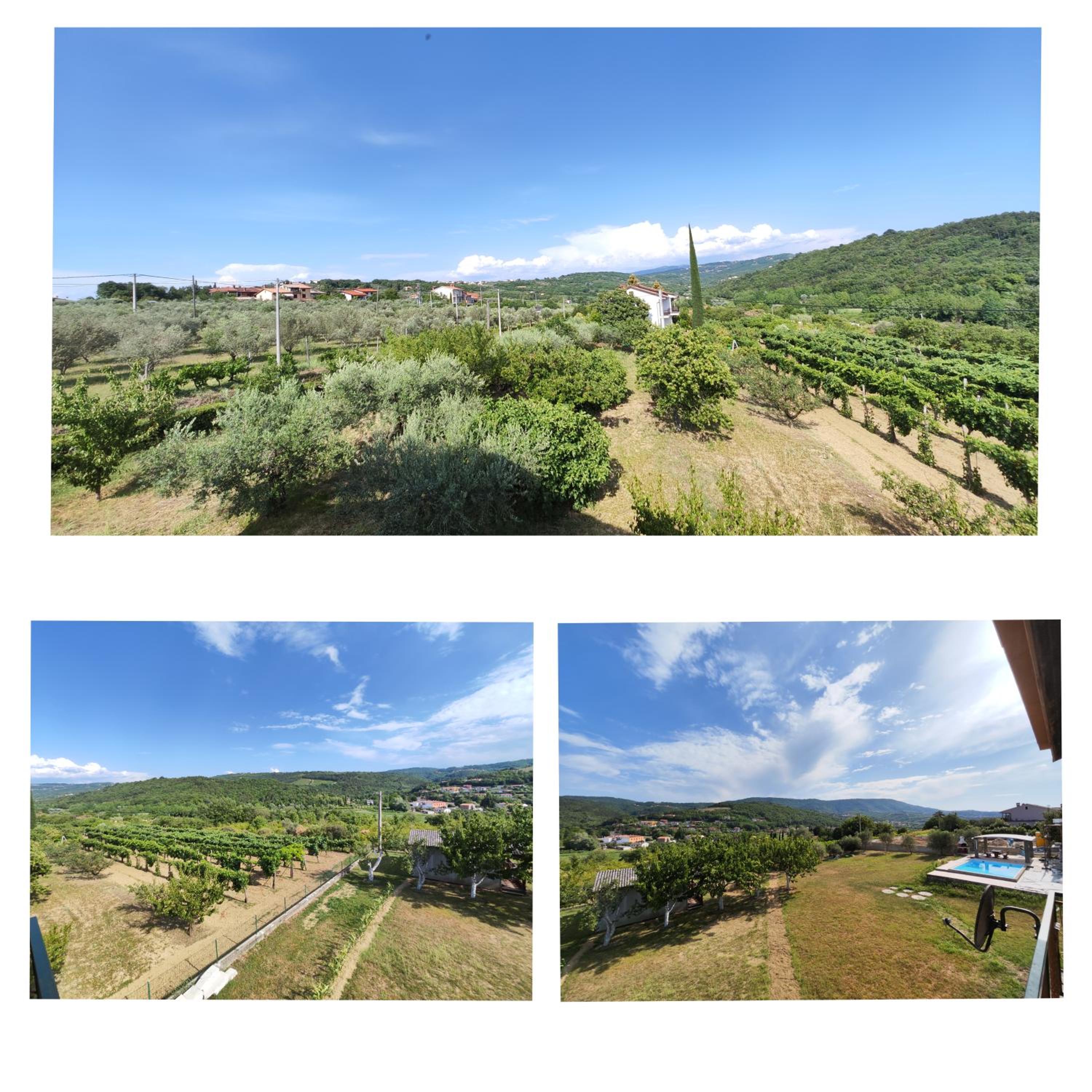 Apartma ALTER EGO view 4