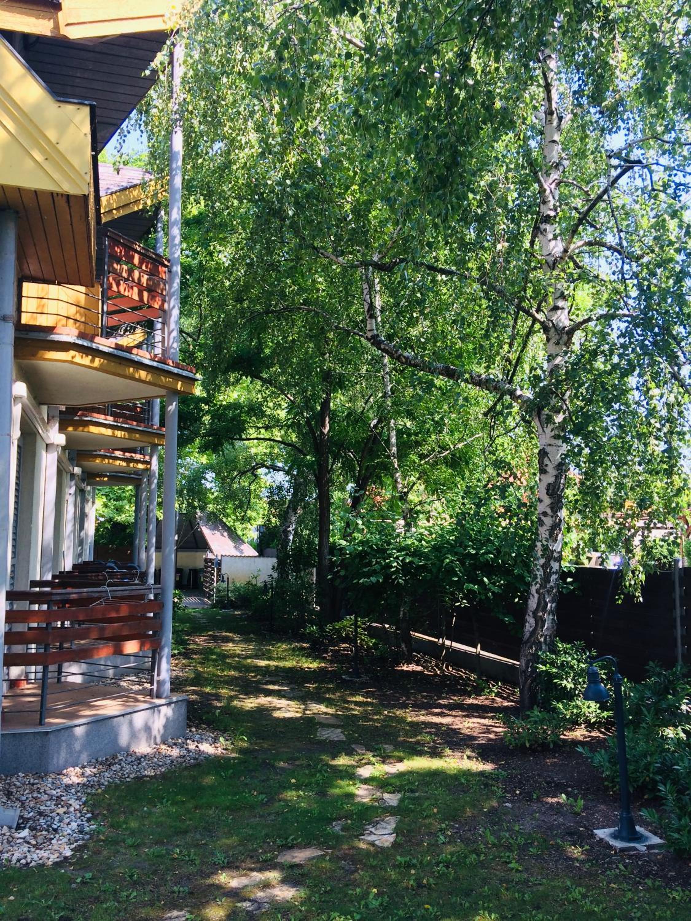 Photo 24