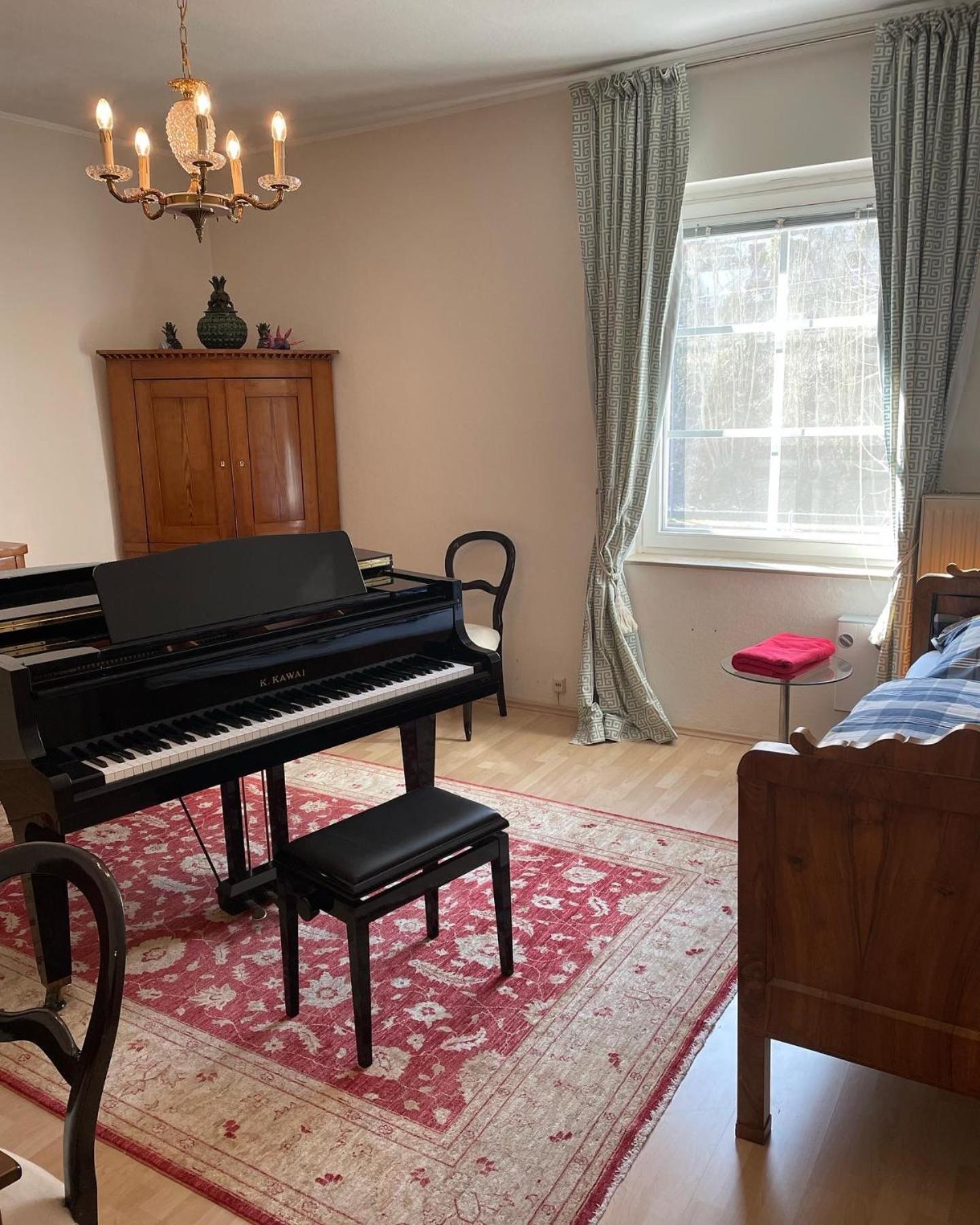 Musikalische Ferienwohnung mit Rheinblick view 4