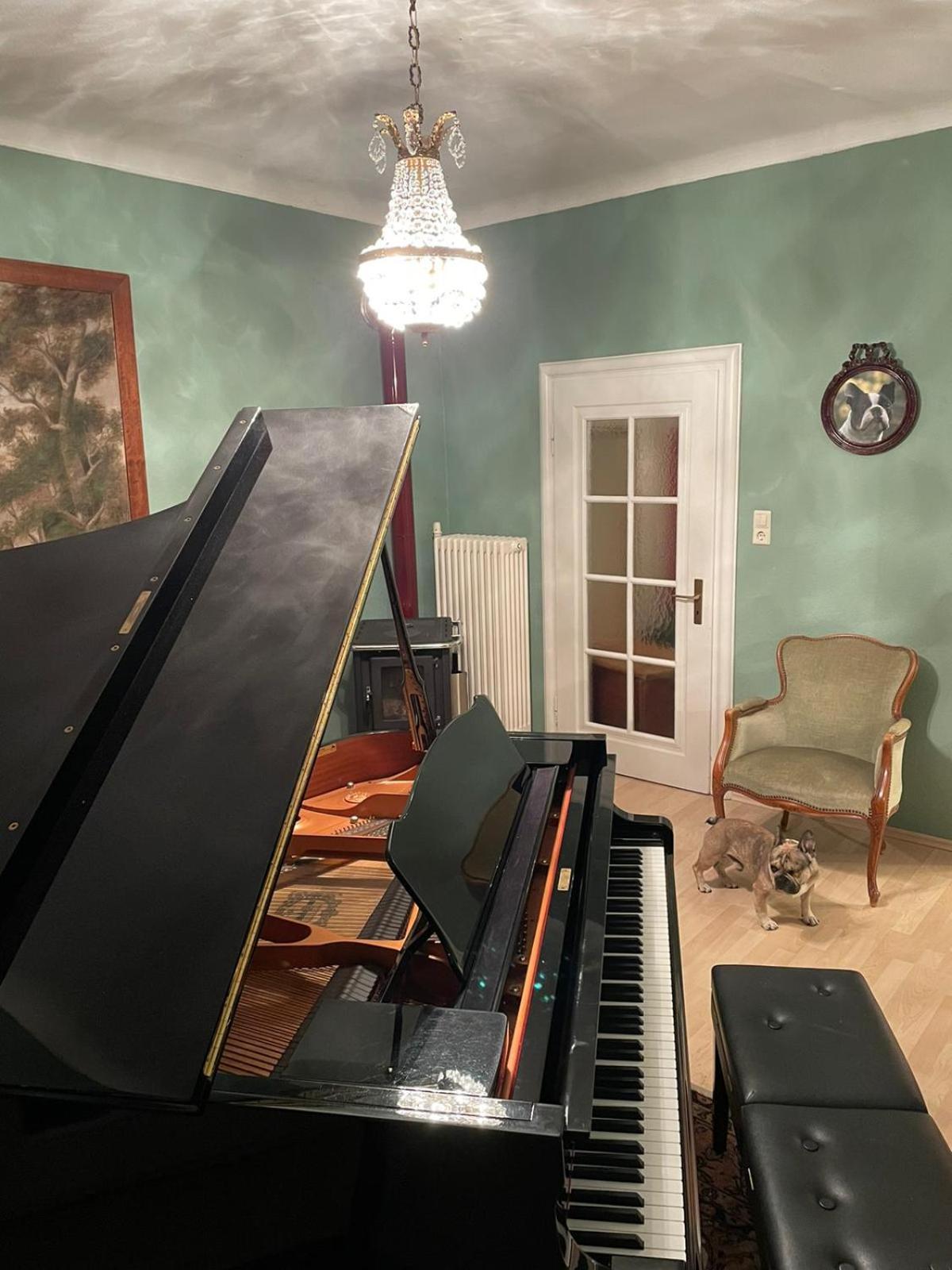 Musikalische Ferienwohnung mit Rheinblick view 2