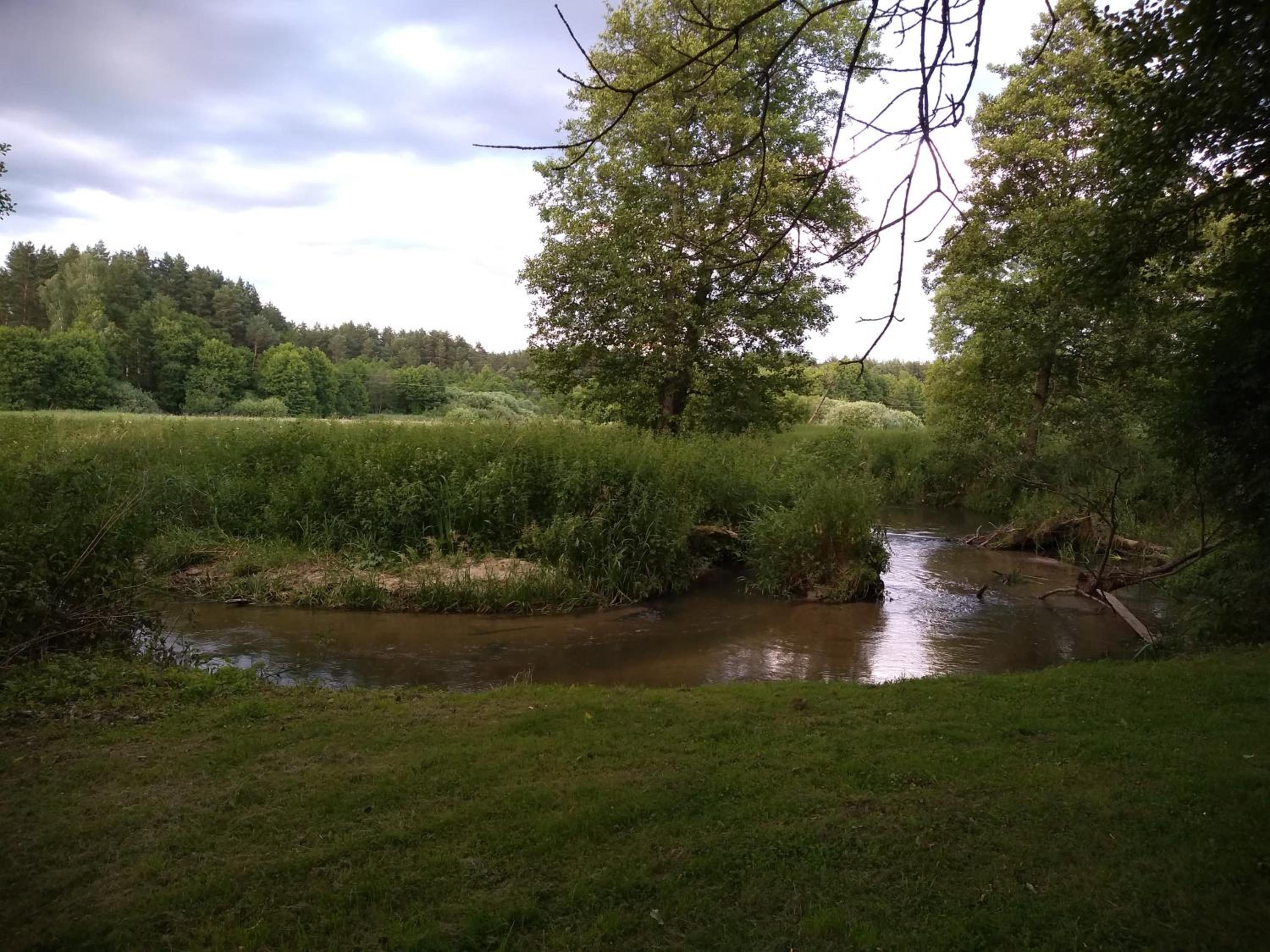 Photo 32