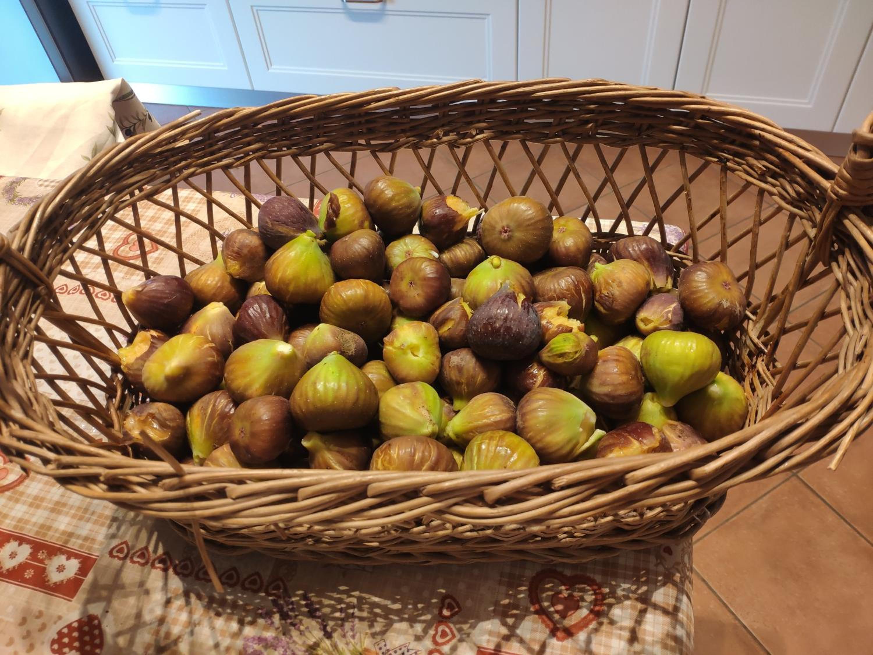 Case Crovina