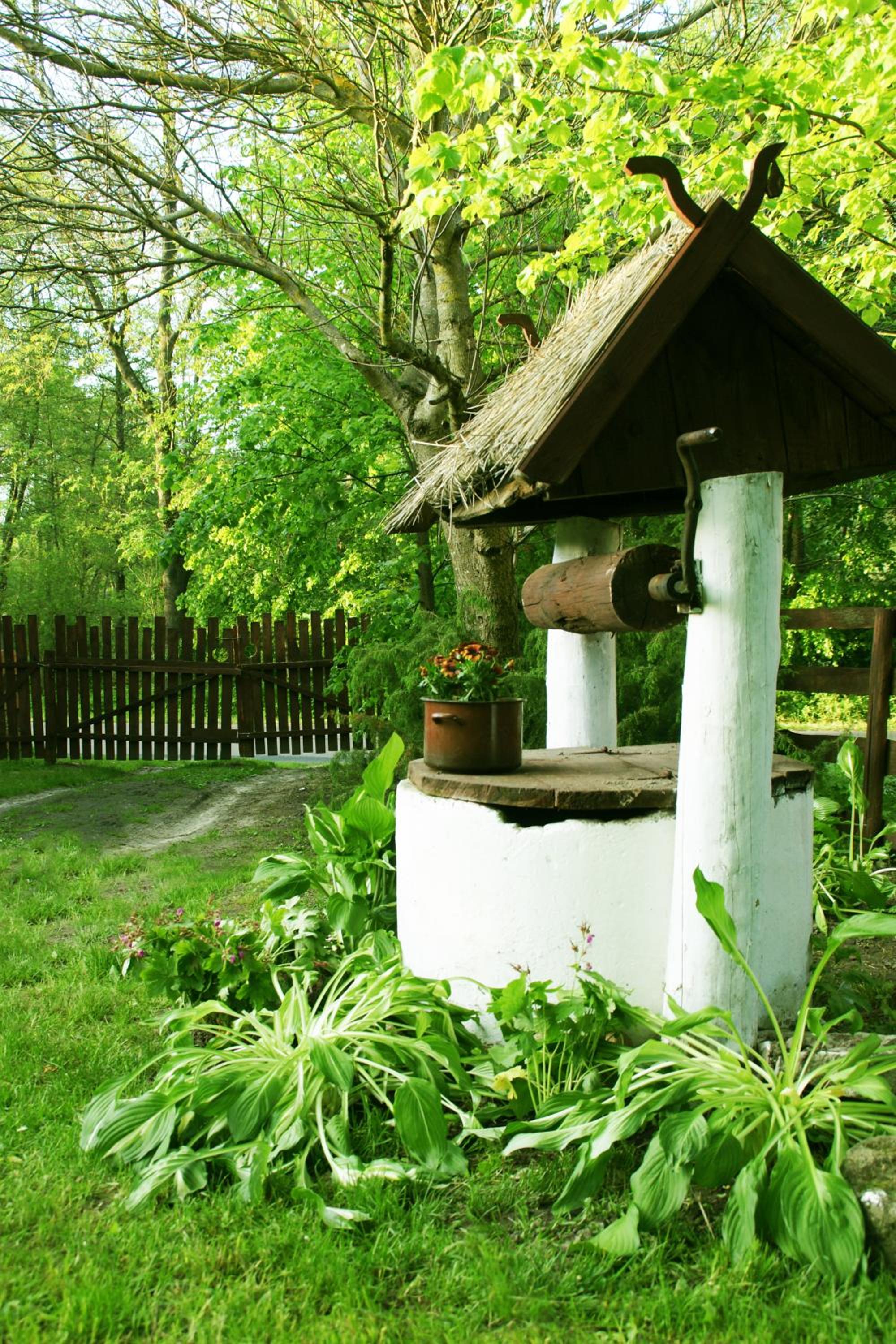 Photo 24