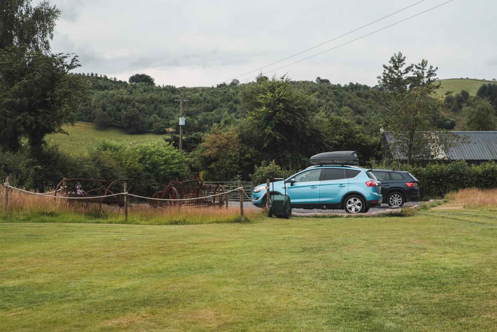 Daisy Bell Tent at Belan Bluebell Woods view 3