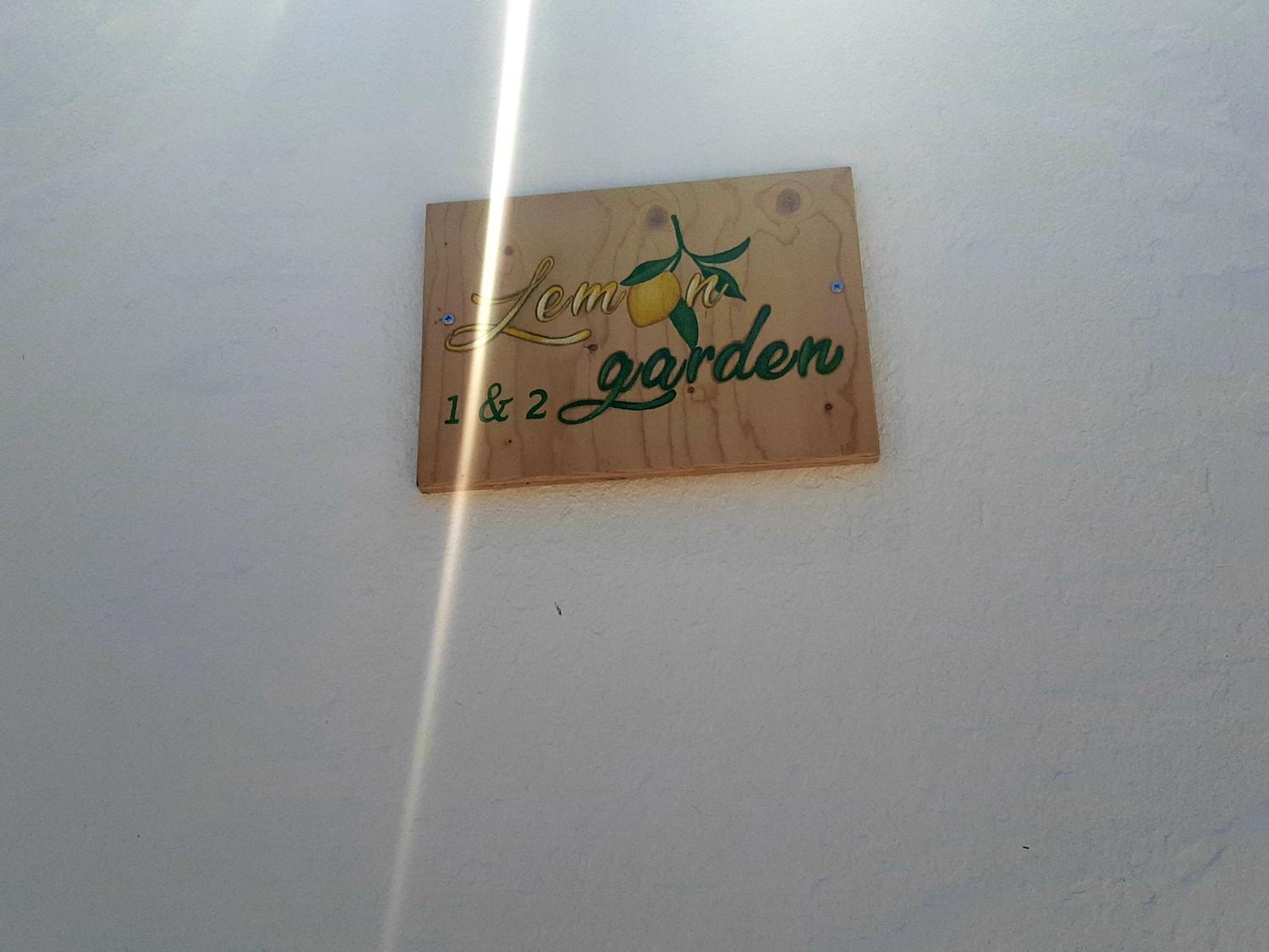 Lemon Garden 1