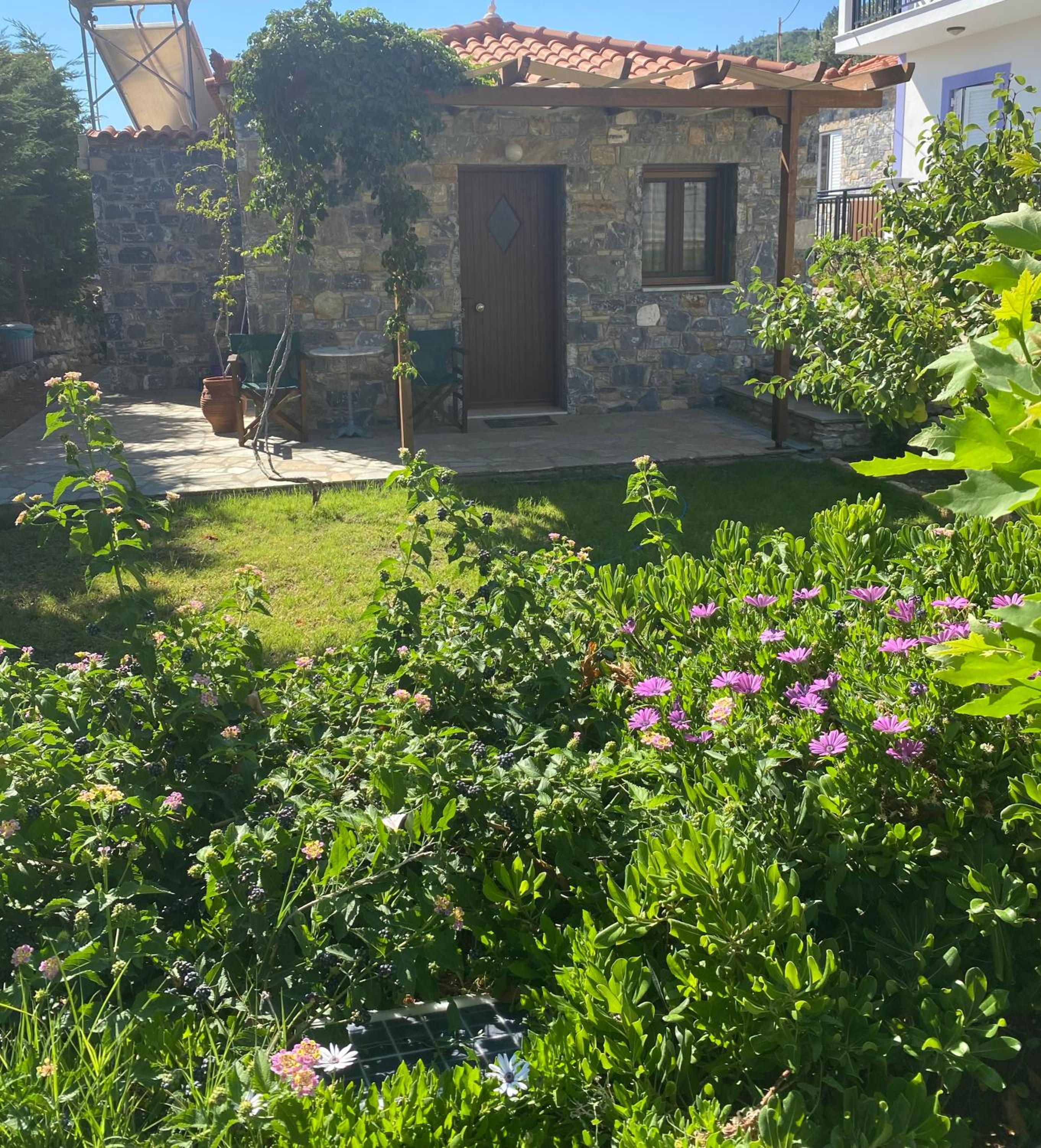 Photo 13